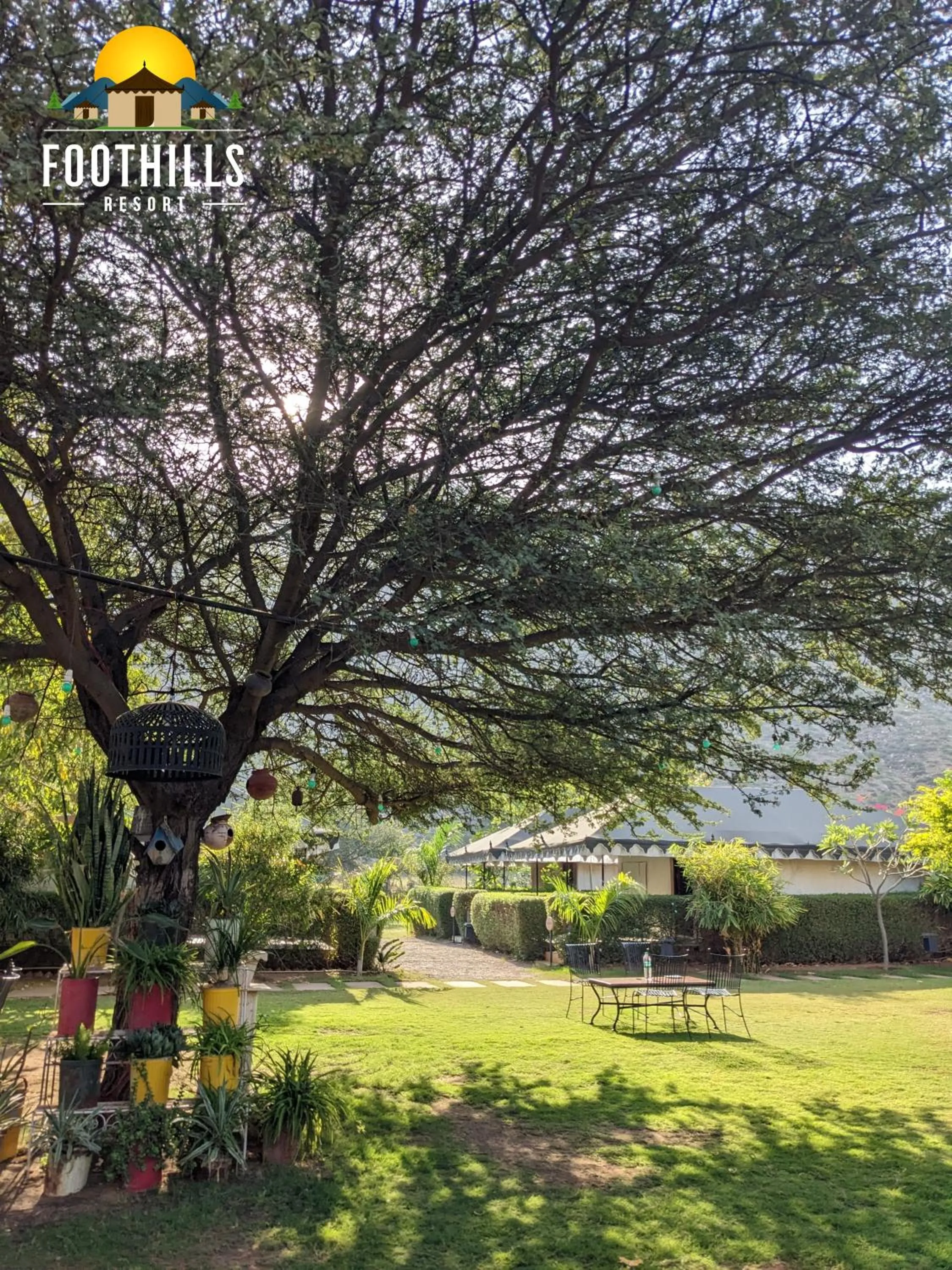 Spring in Foothill Pushkar Resort