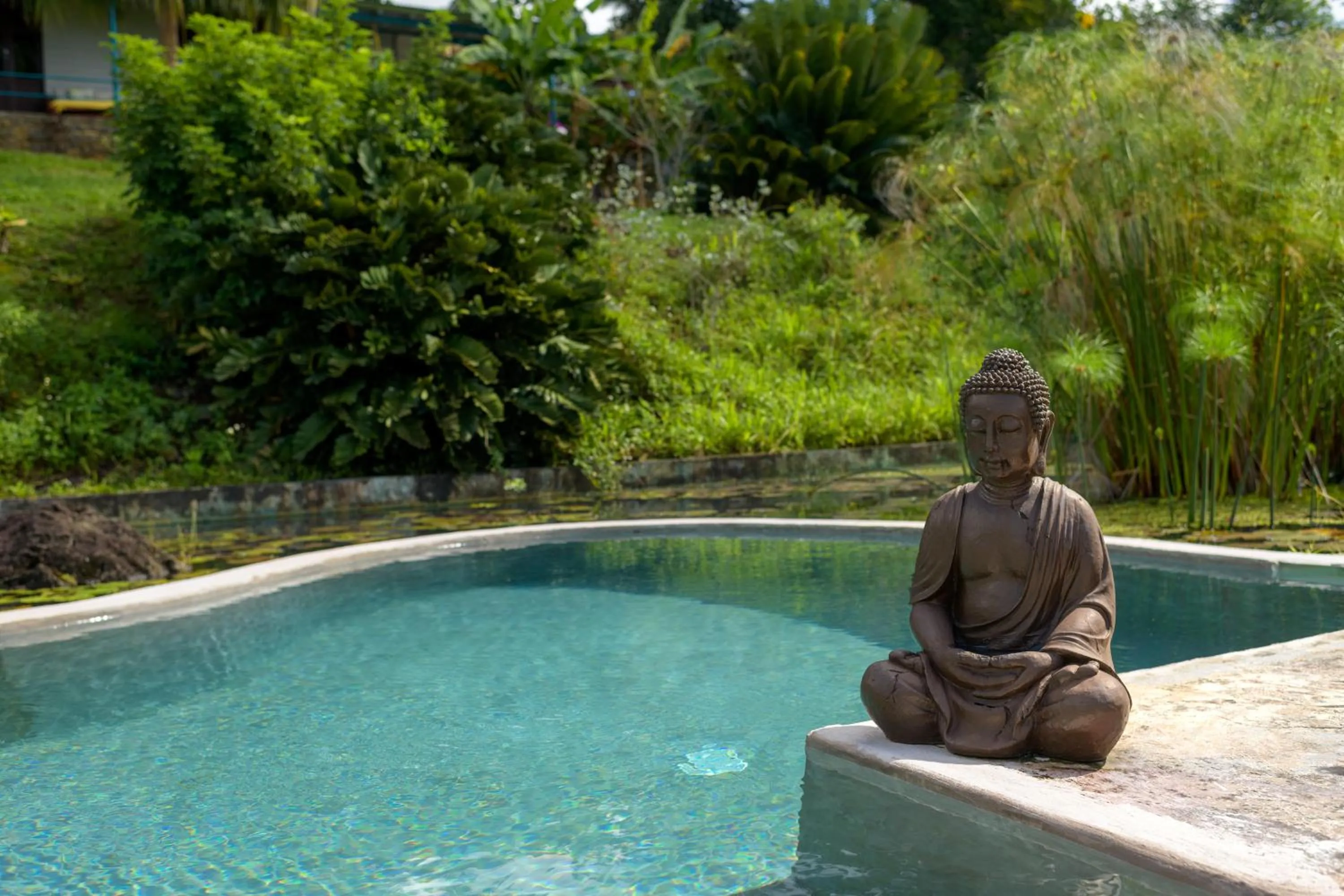 Swimming pool in TropicAngel ECOLODGE de Charme