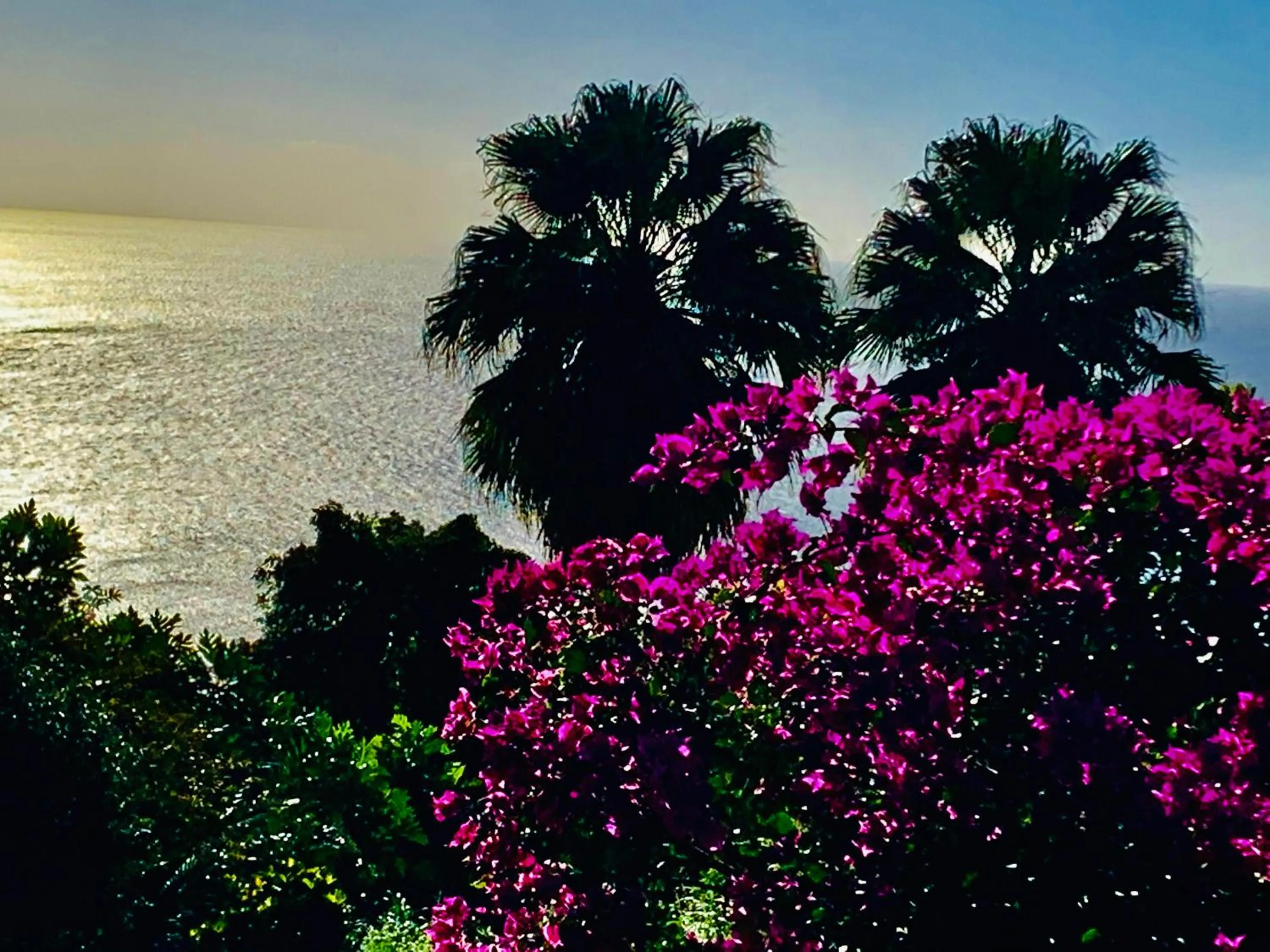 View (from property/room) in TropicAngel ECOLODGE de Charme