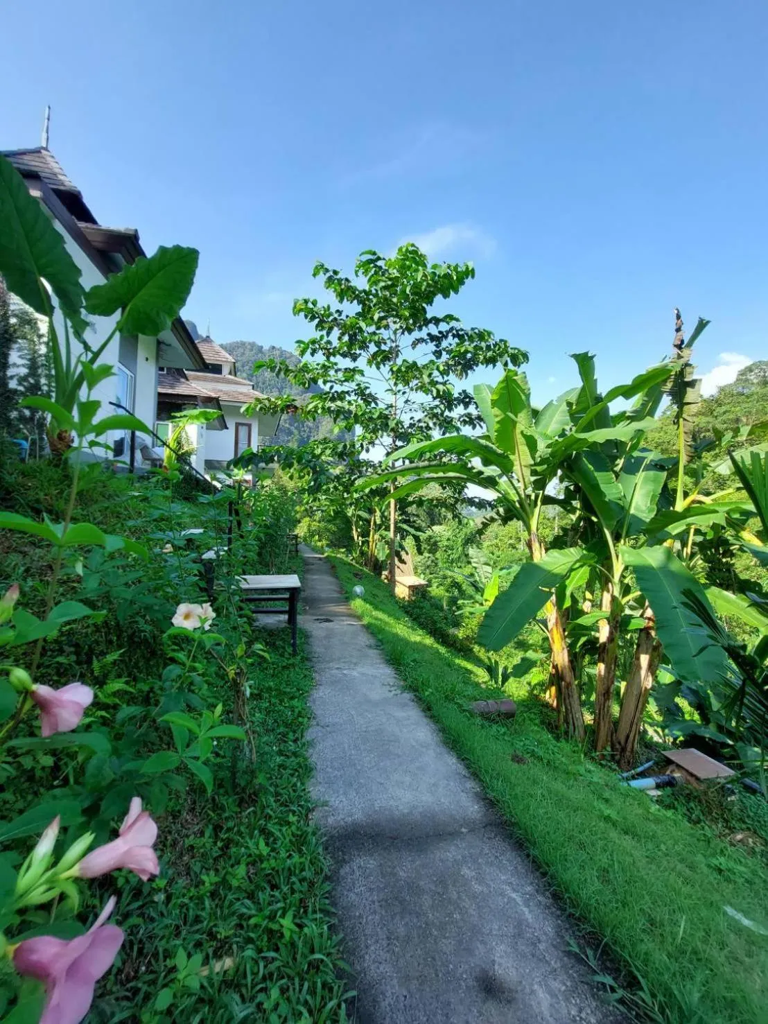 Magical Mountain View Resort