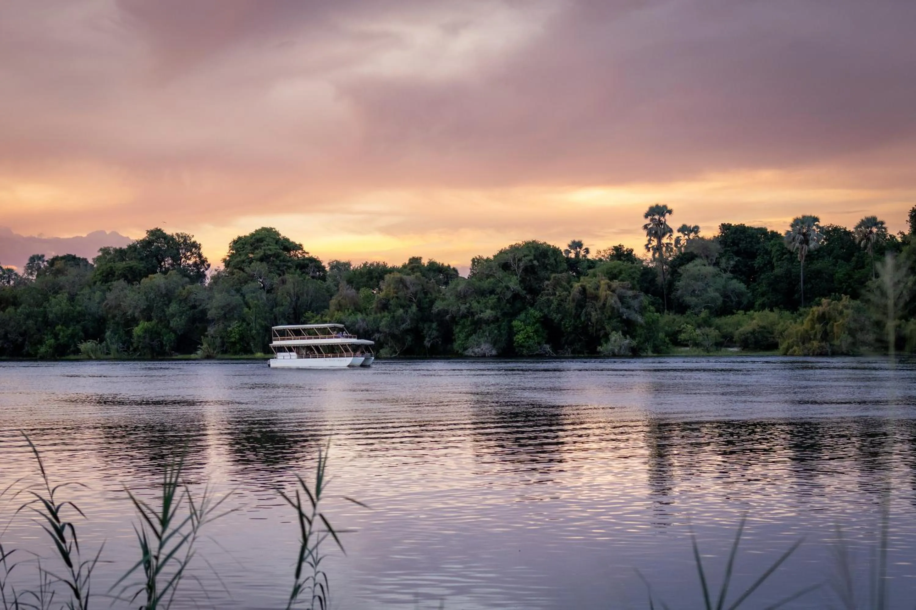 Activities in Palm River Hotel