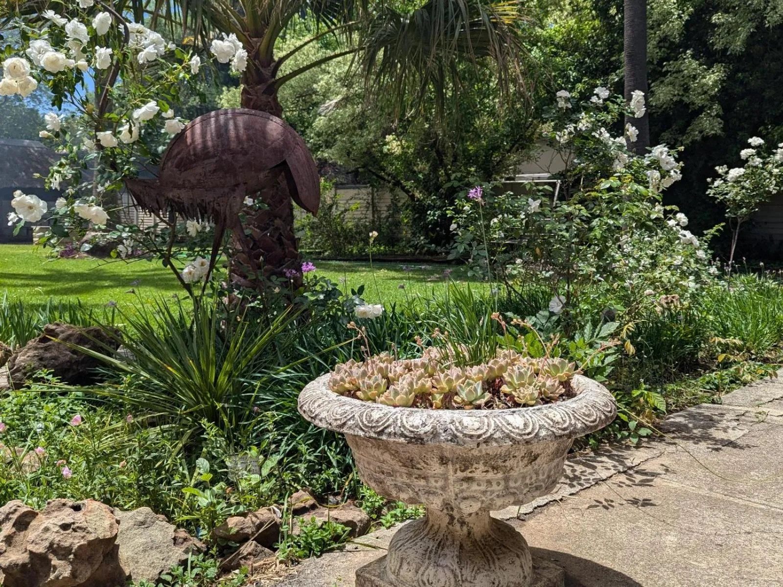 Garden view in Palms Lodge