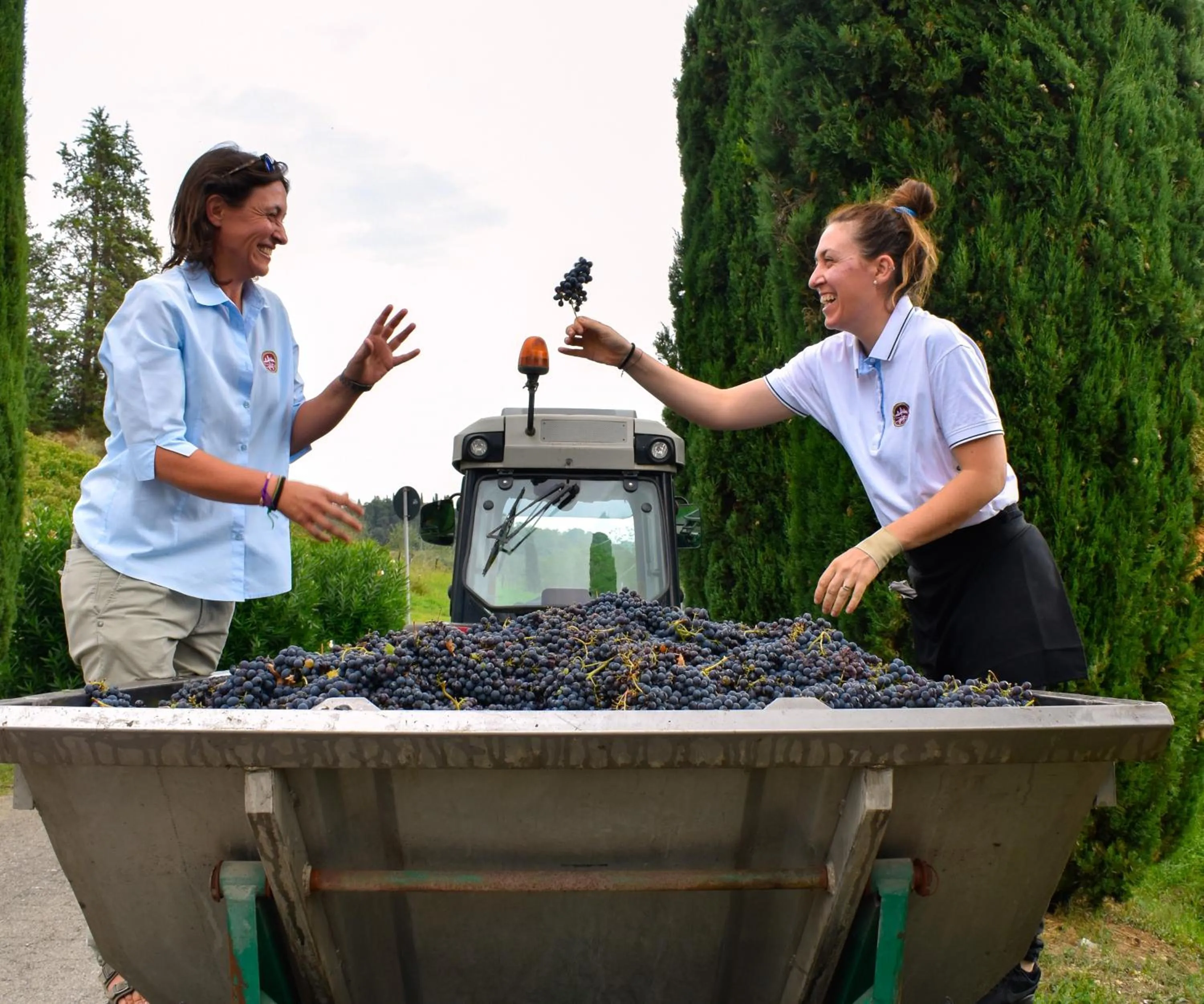 Activities in Tenuta Sovestro - Agriturismo e winery