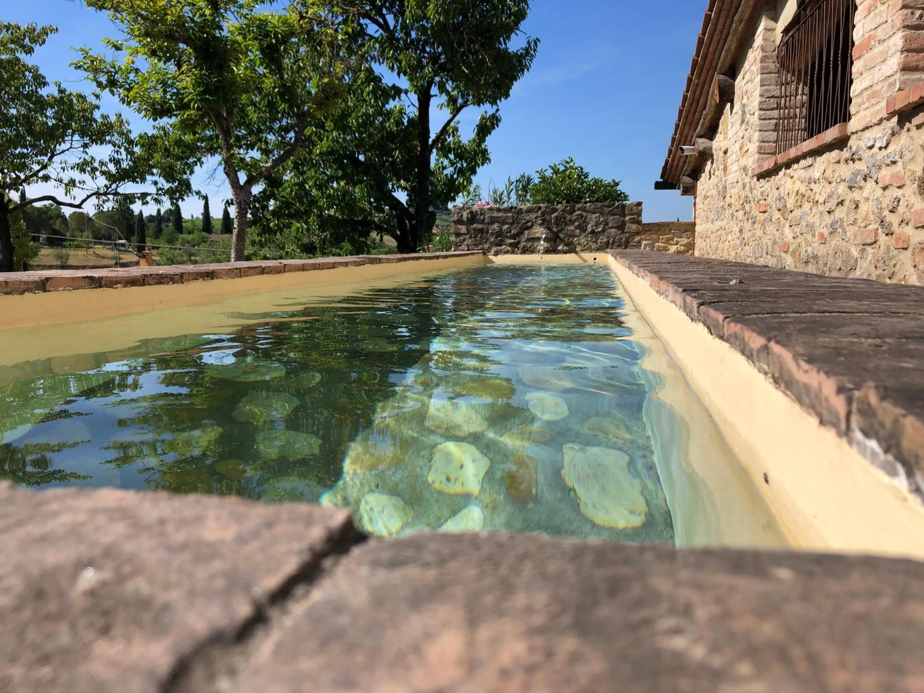 Swimming pool in Tenuta Sovestro - Agriturismo e winery
