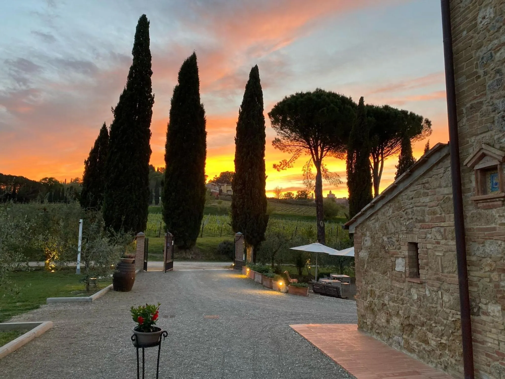 Sunset in Tenuta Sovestro - Agriturismo e winery