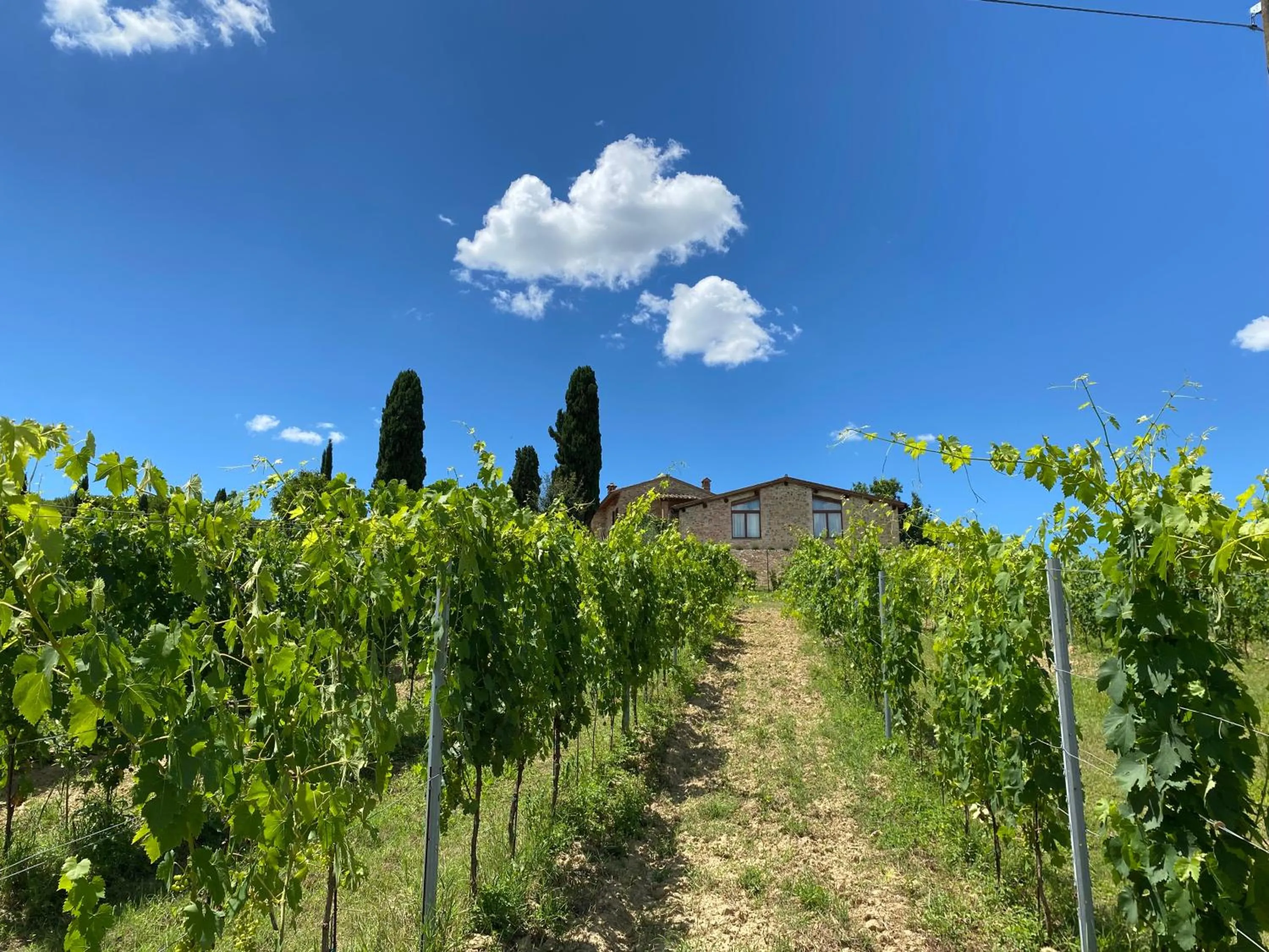 Property building in Tenuta Sovestro - Agriturismo e winery