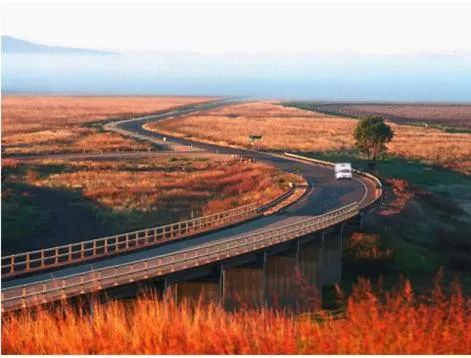 Harvest Lodge Motel - Gunnedah