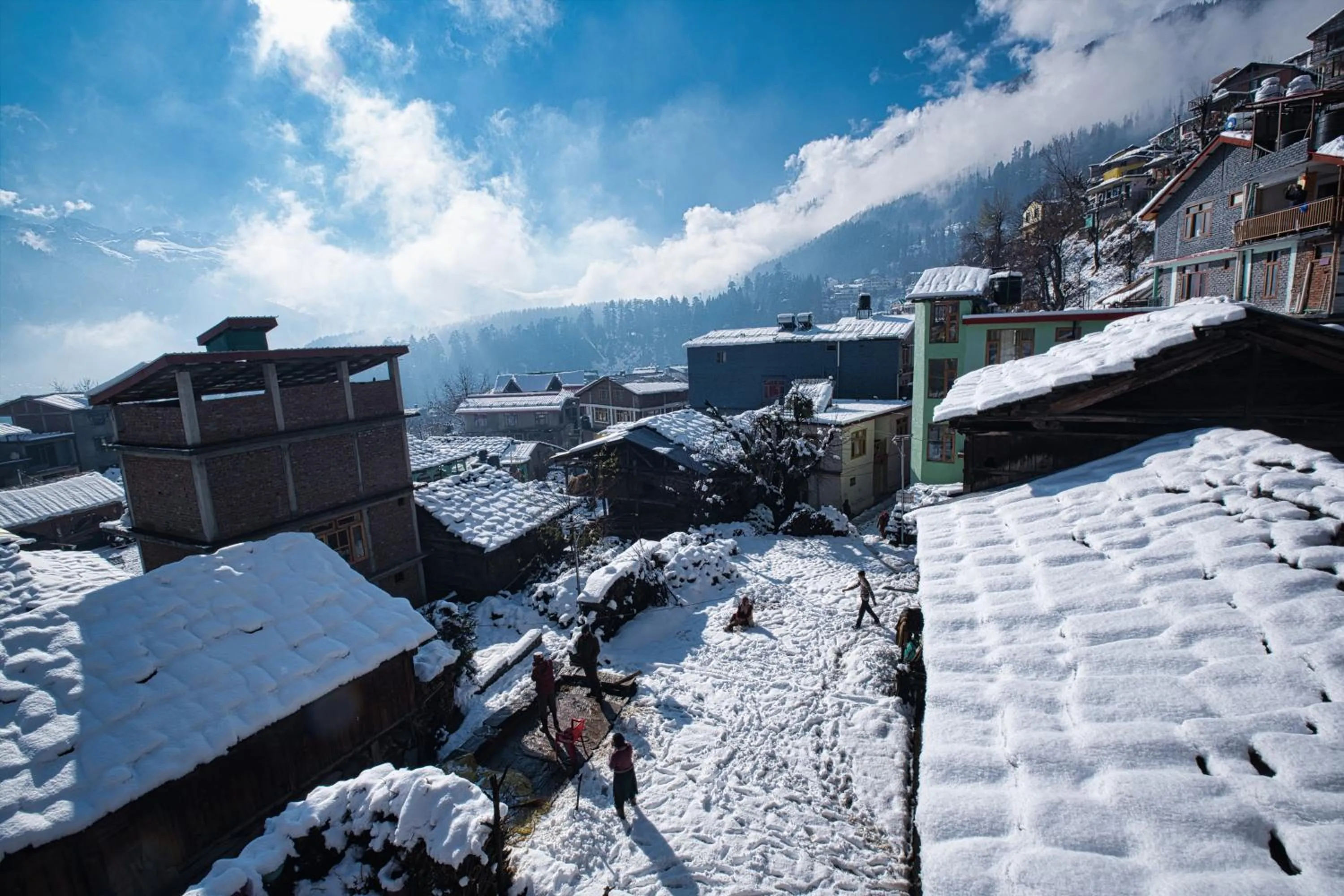 Neighbourhood in Voyageur Nest