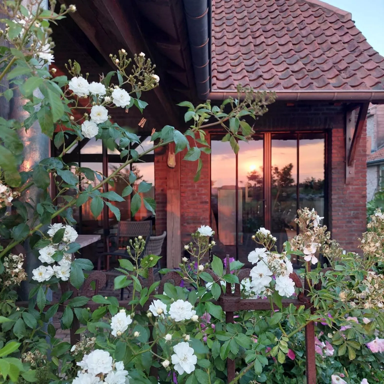 Patio in B&B Stefans Pottery
