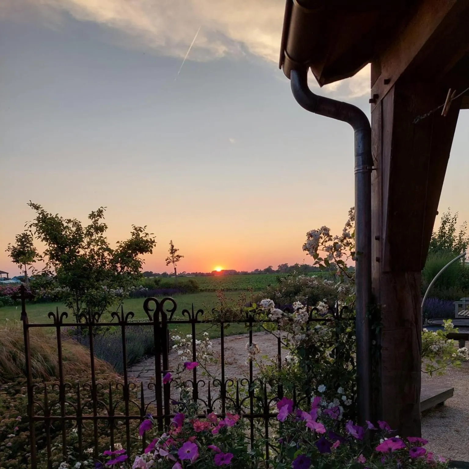 Natural landscape in B&B Stefans Pottery