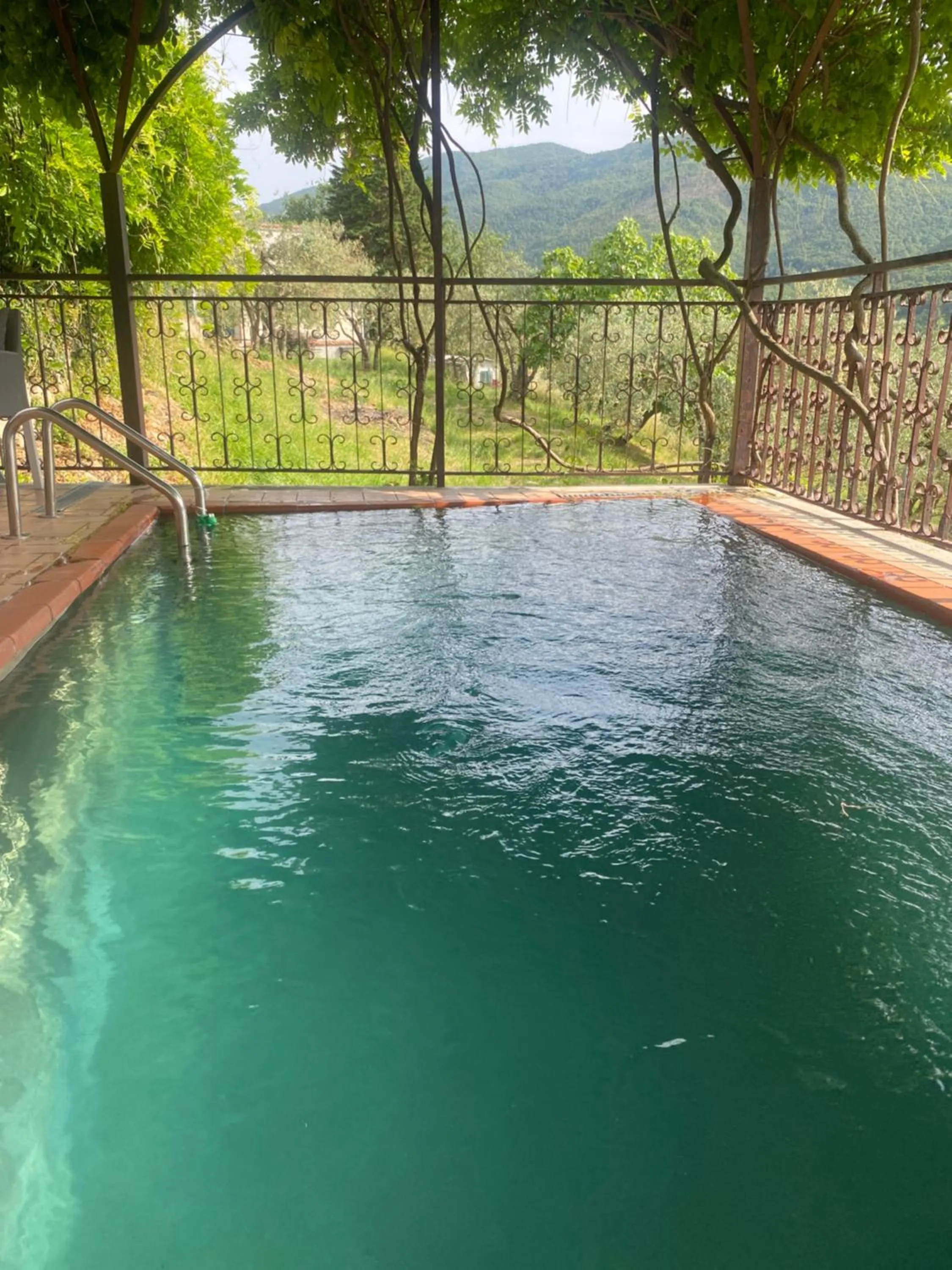 Swimming pool in B&B Rox e Claudia