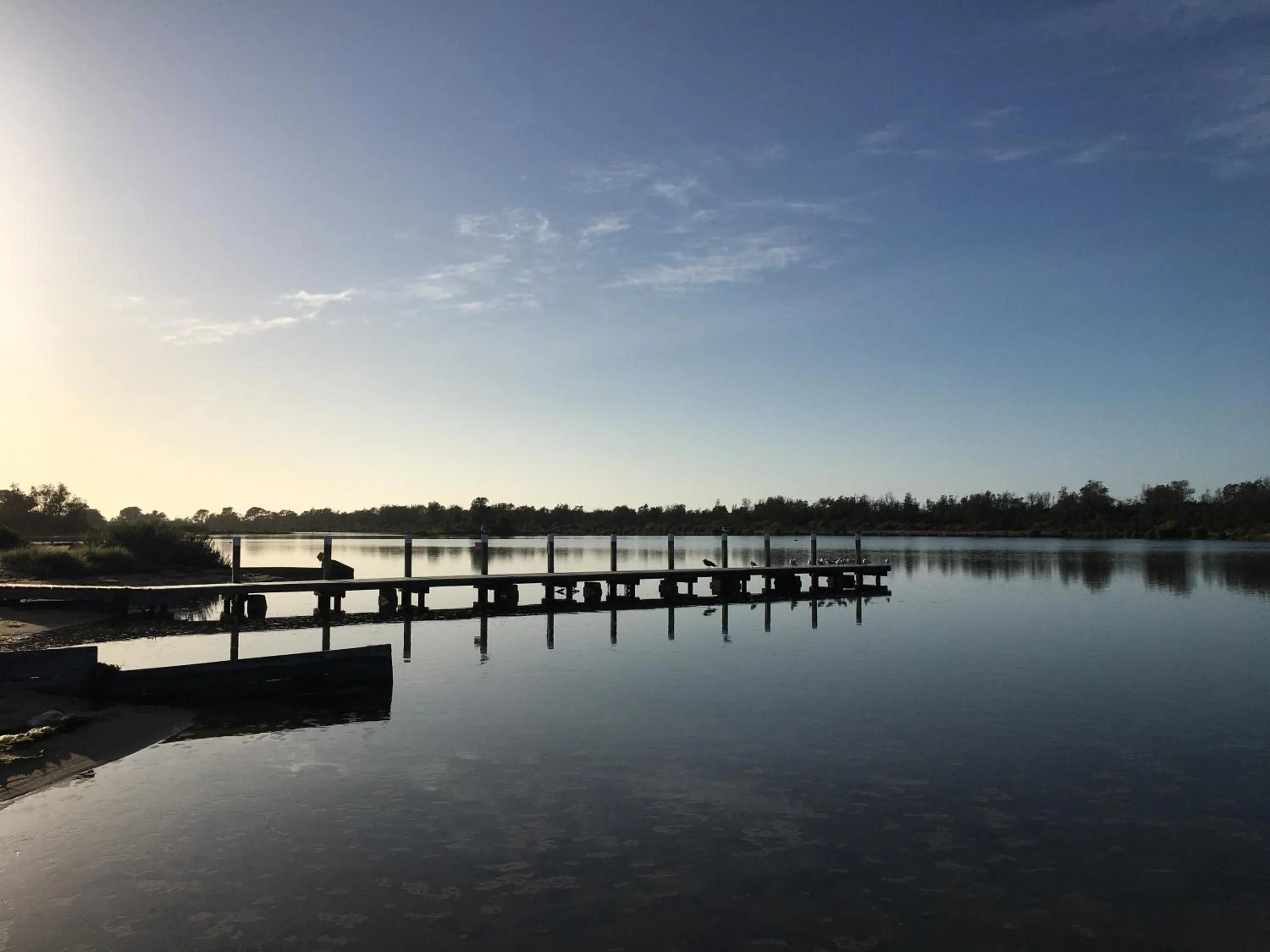 Natural landscape in Coastal Waters Motor Inn