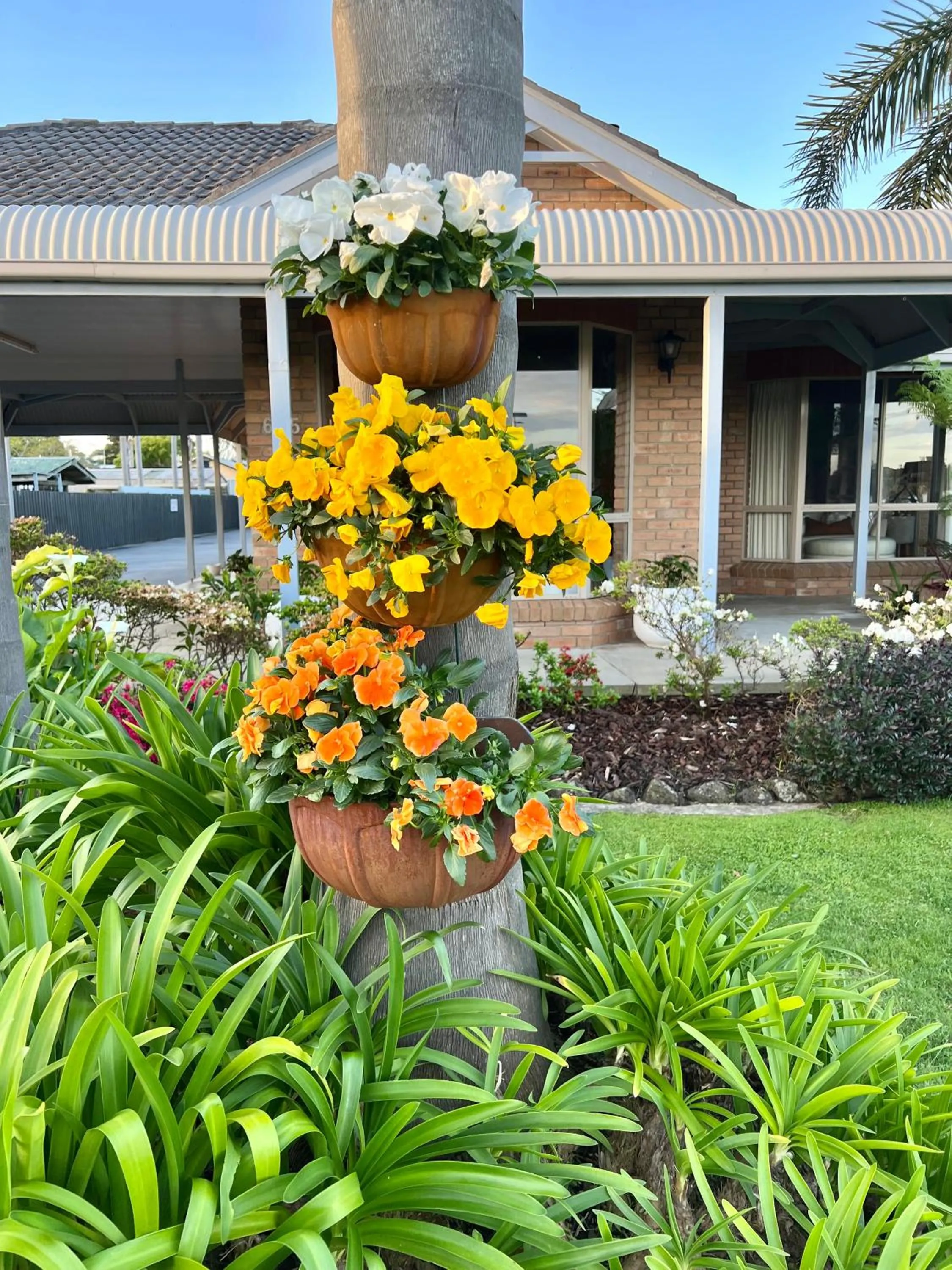 Garden in Coastal Waters Motor Inn