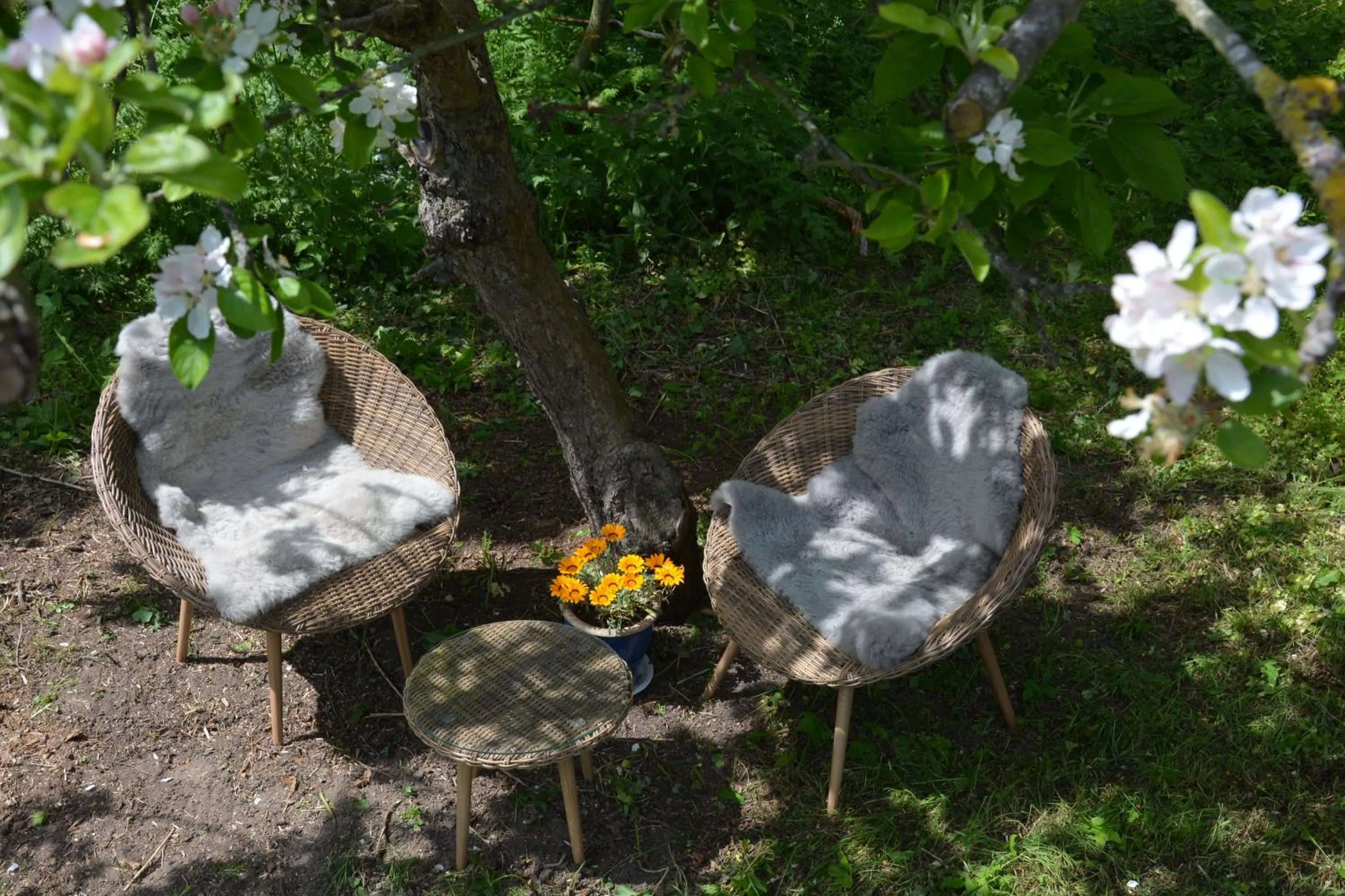 Garden in KirkeLy Bed and Breakfast