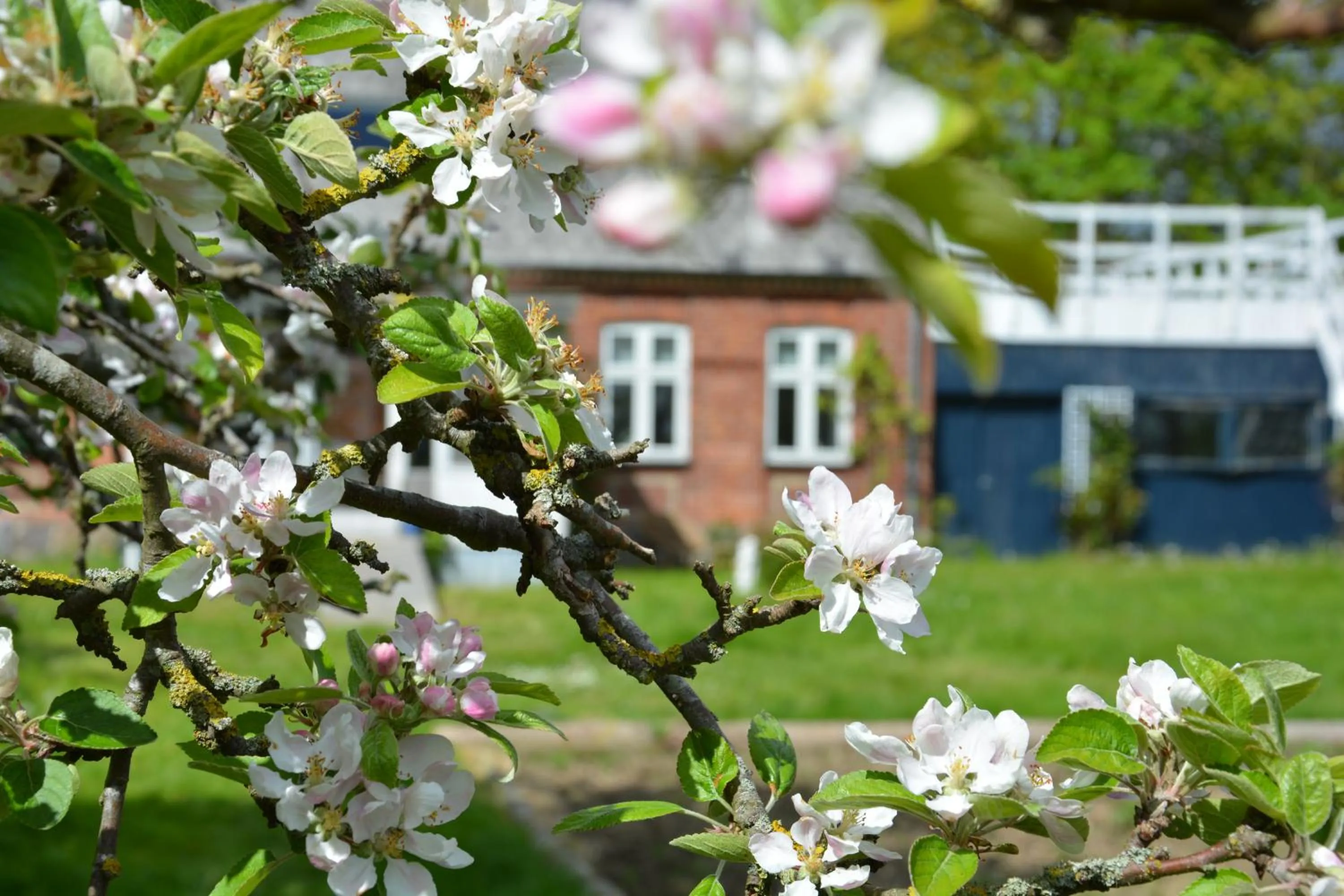 Property building in KirkeLy Bed and Breakfast