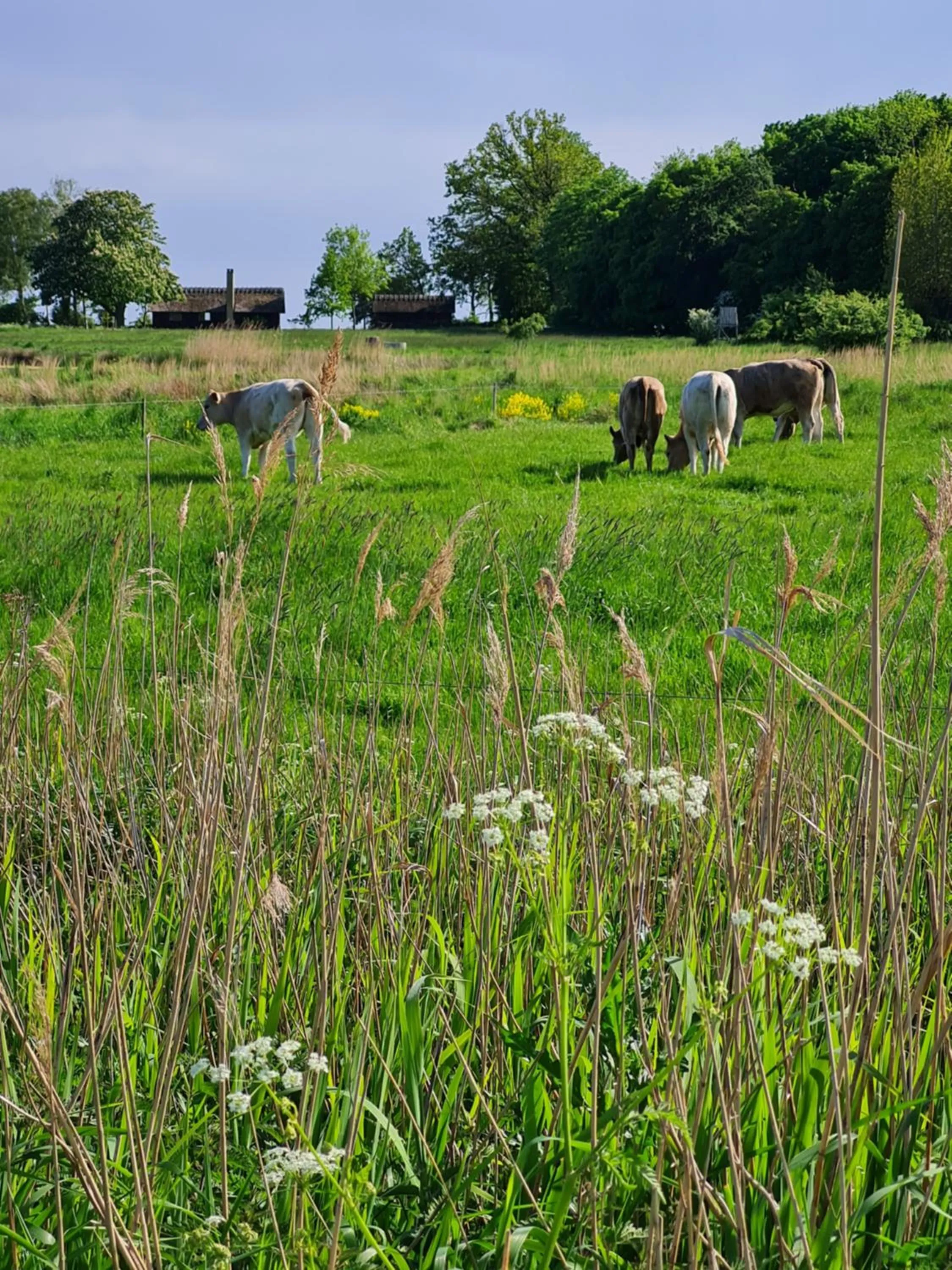 Nearby landmark in KirkeLy Bed and Breakfast