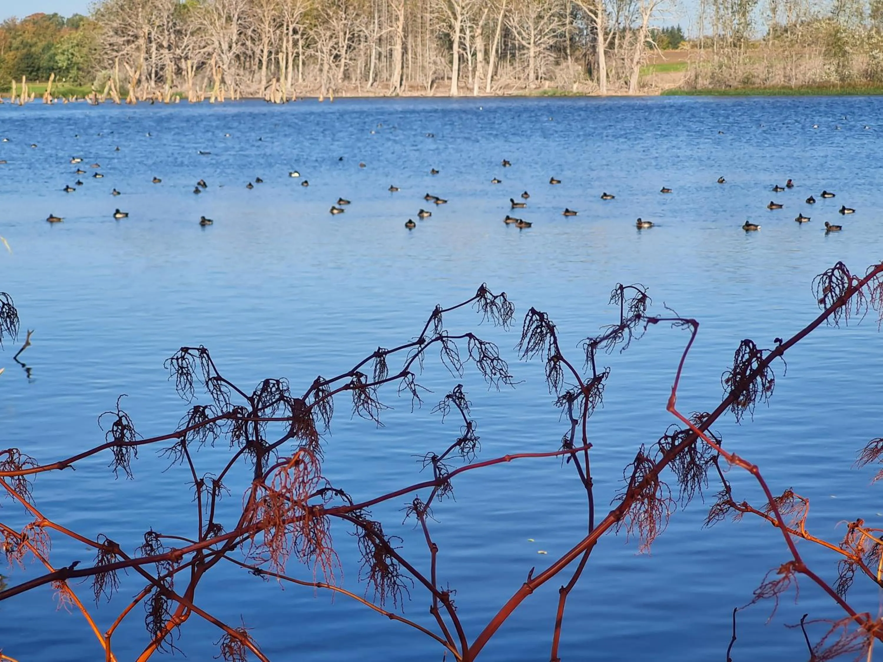 Natural landscape in KirkeLy Bed and Breakfast