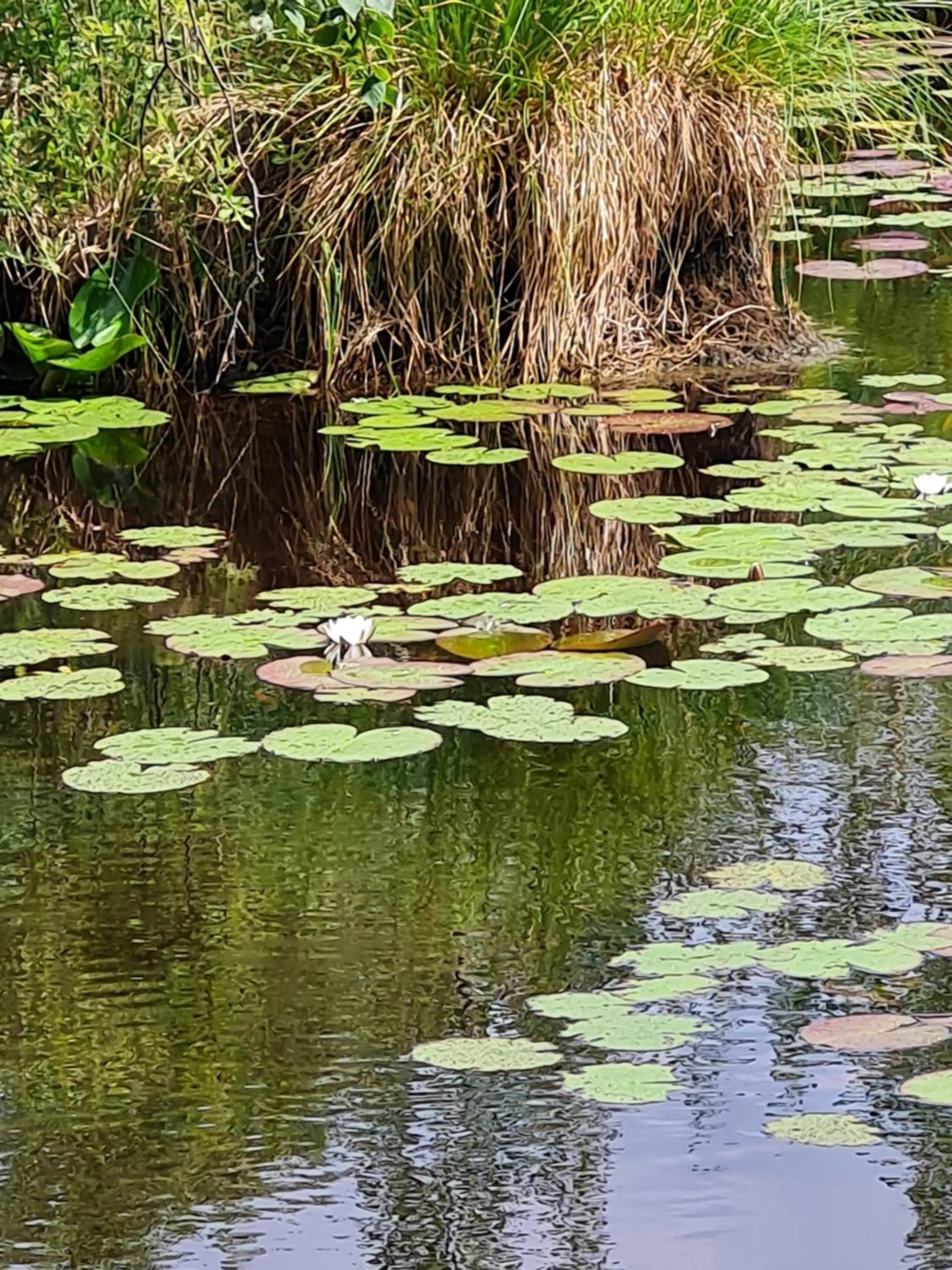 Hiking in KirkeLy Bed and Breakfast