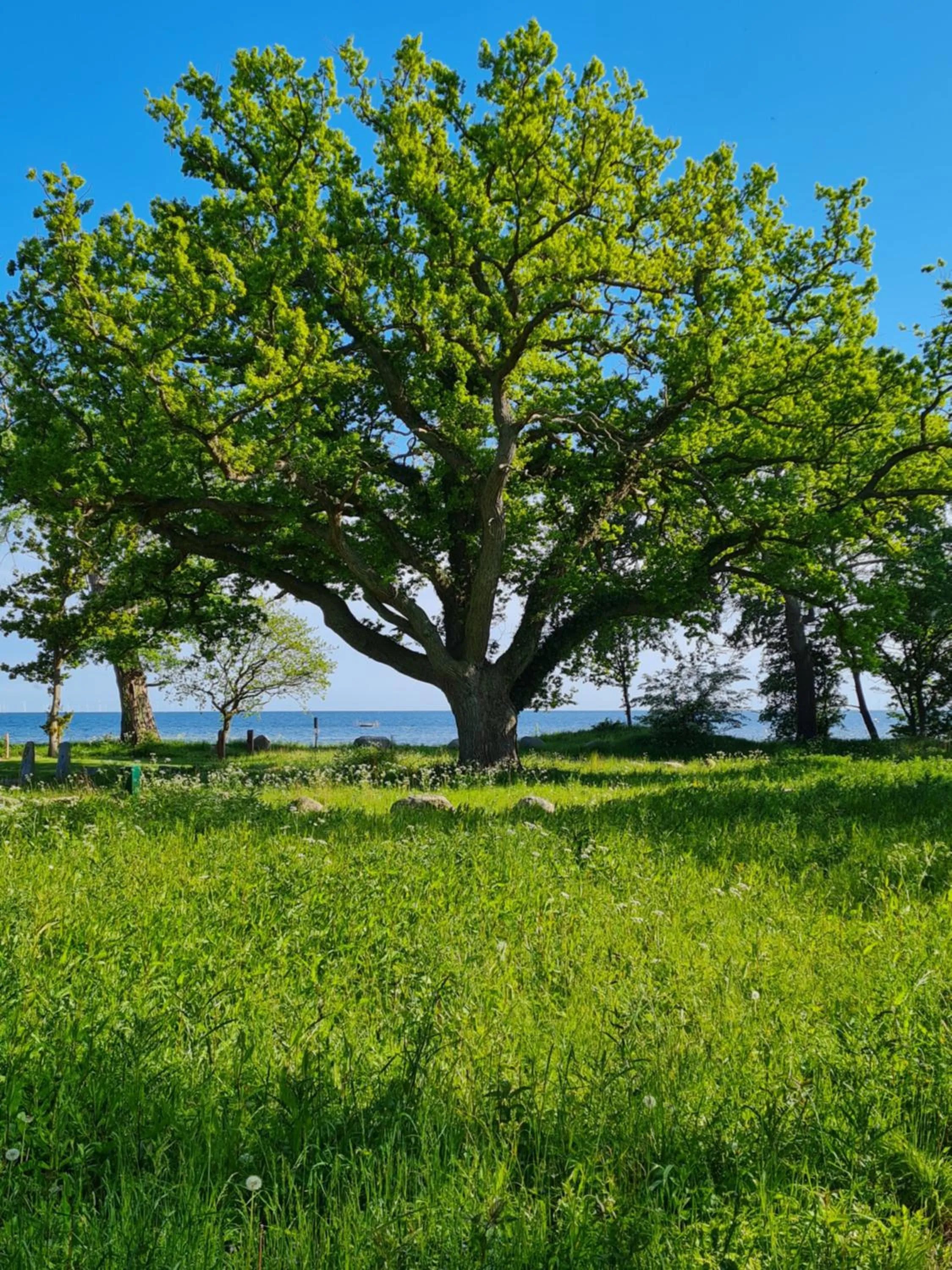 Natural landscape in KirkeLy Bed and Breakfast