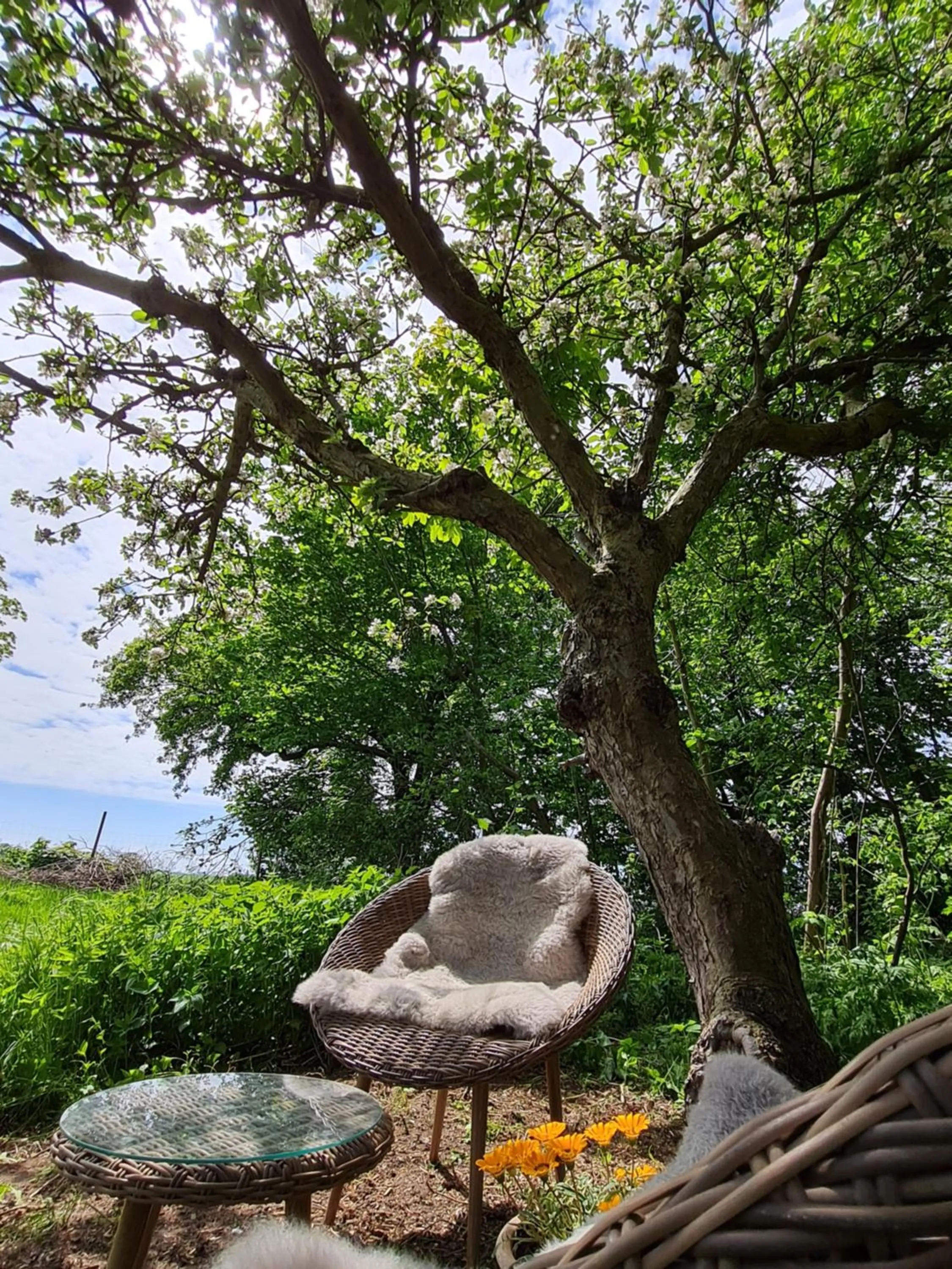 Natural landscape in KirkeLy Bed and Breakfast