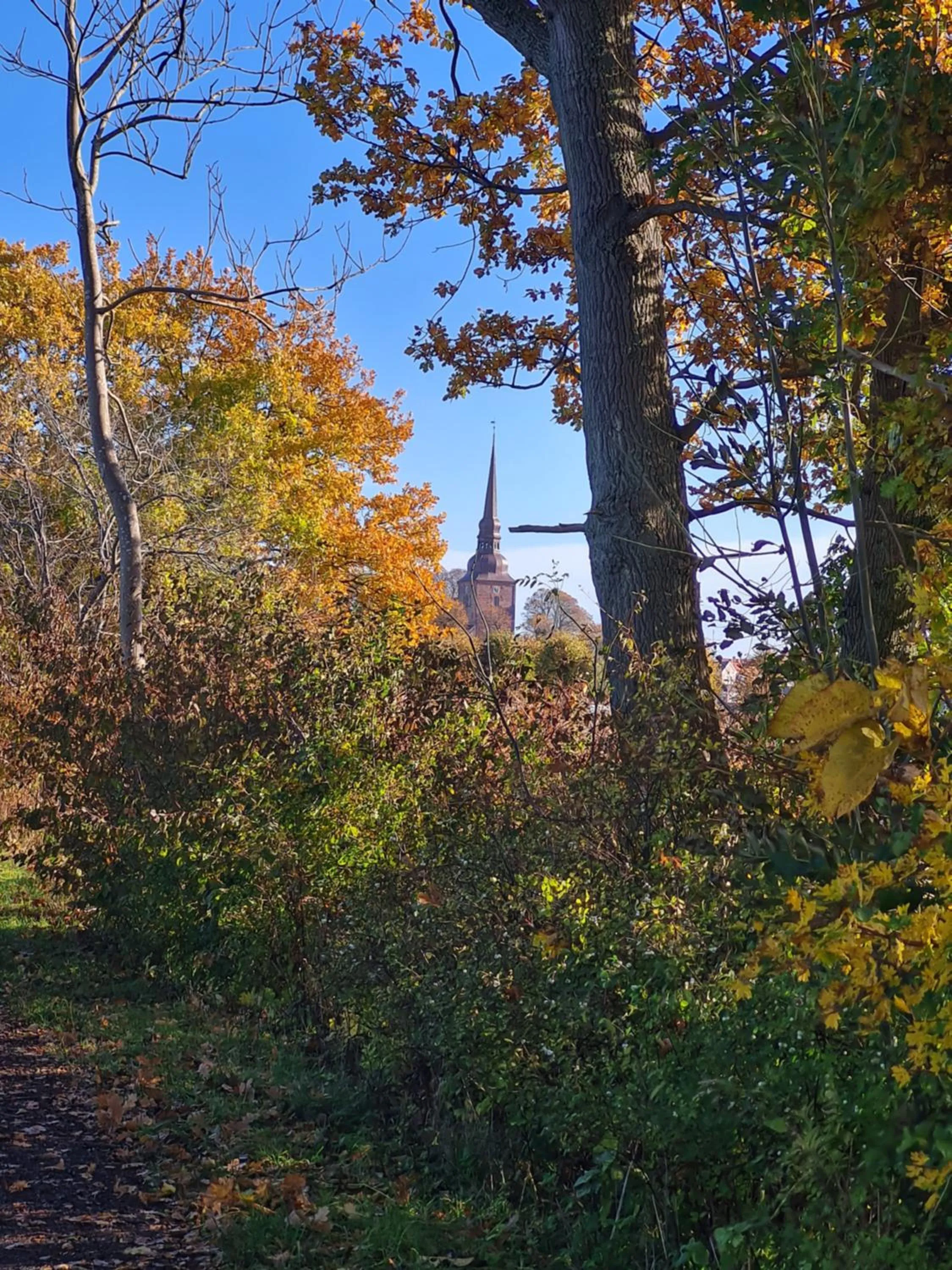 Natural landscape in KirkeLy Bed and Breakfast