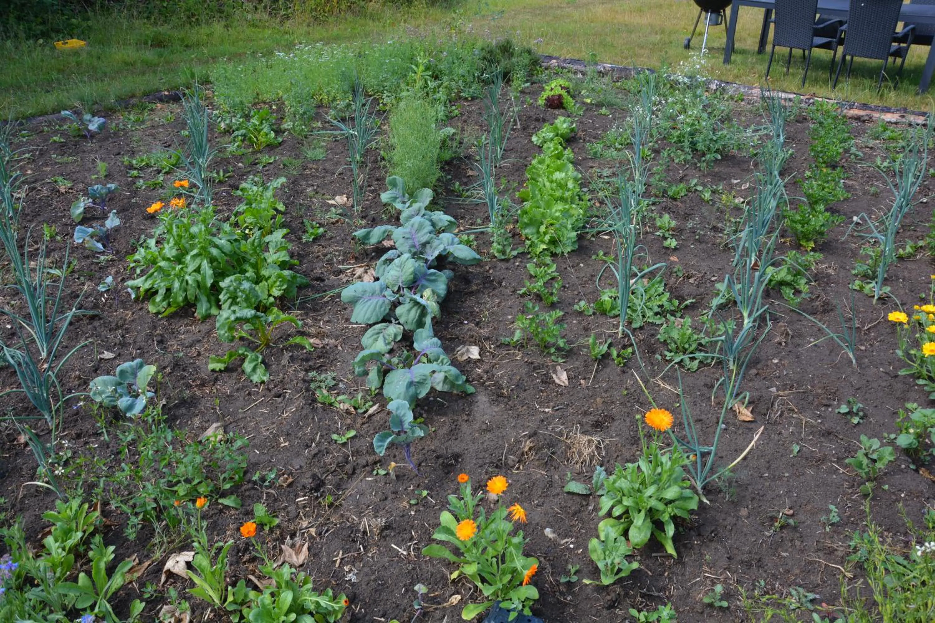 Garden in KirkeLy Bed and Breakfast