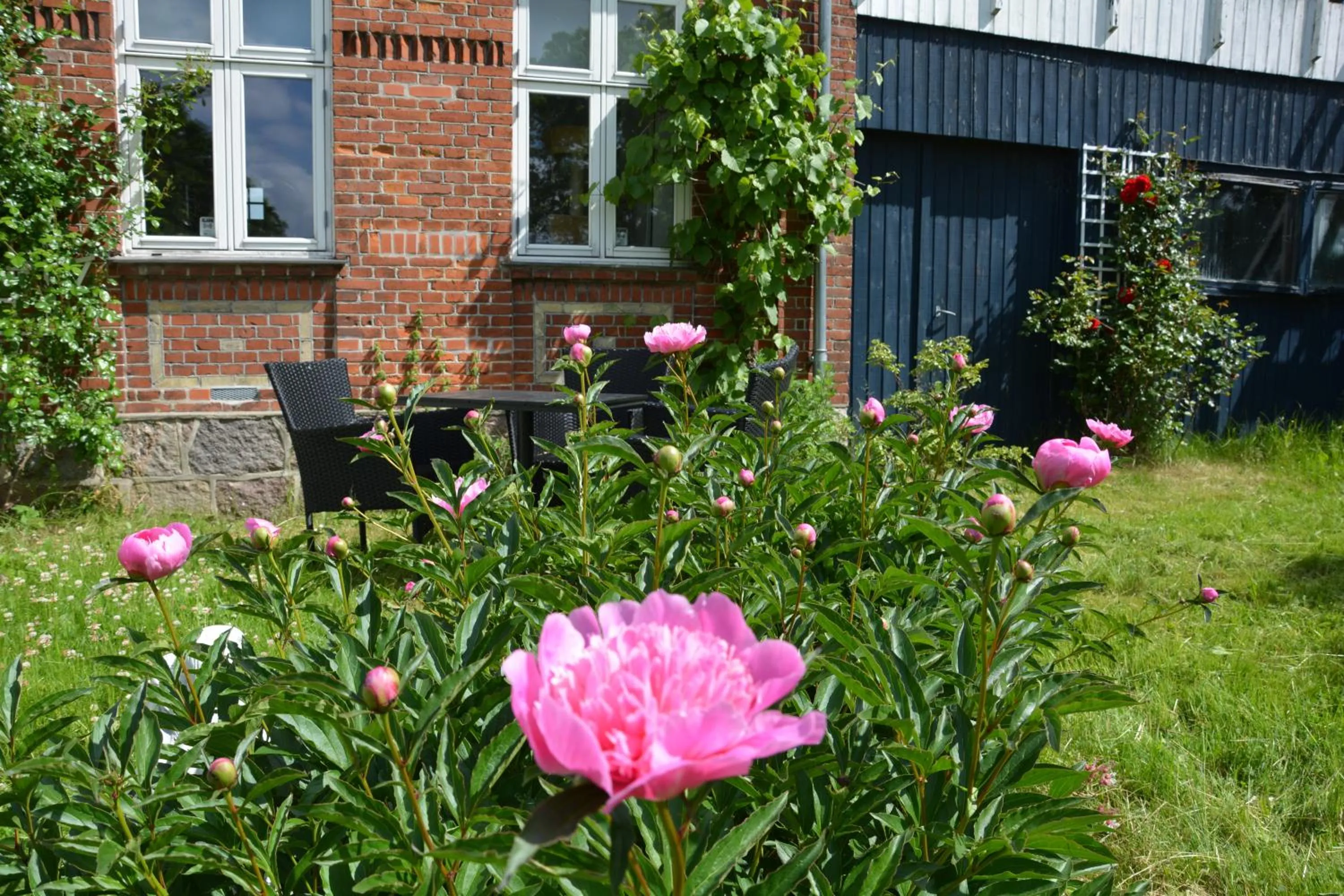 Garden in KirkeLy Bed and Breakfast