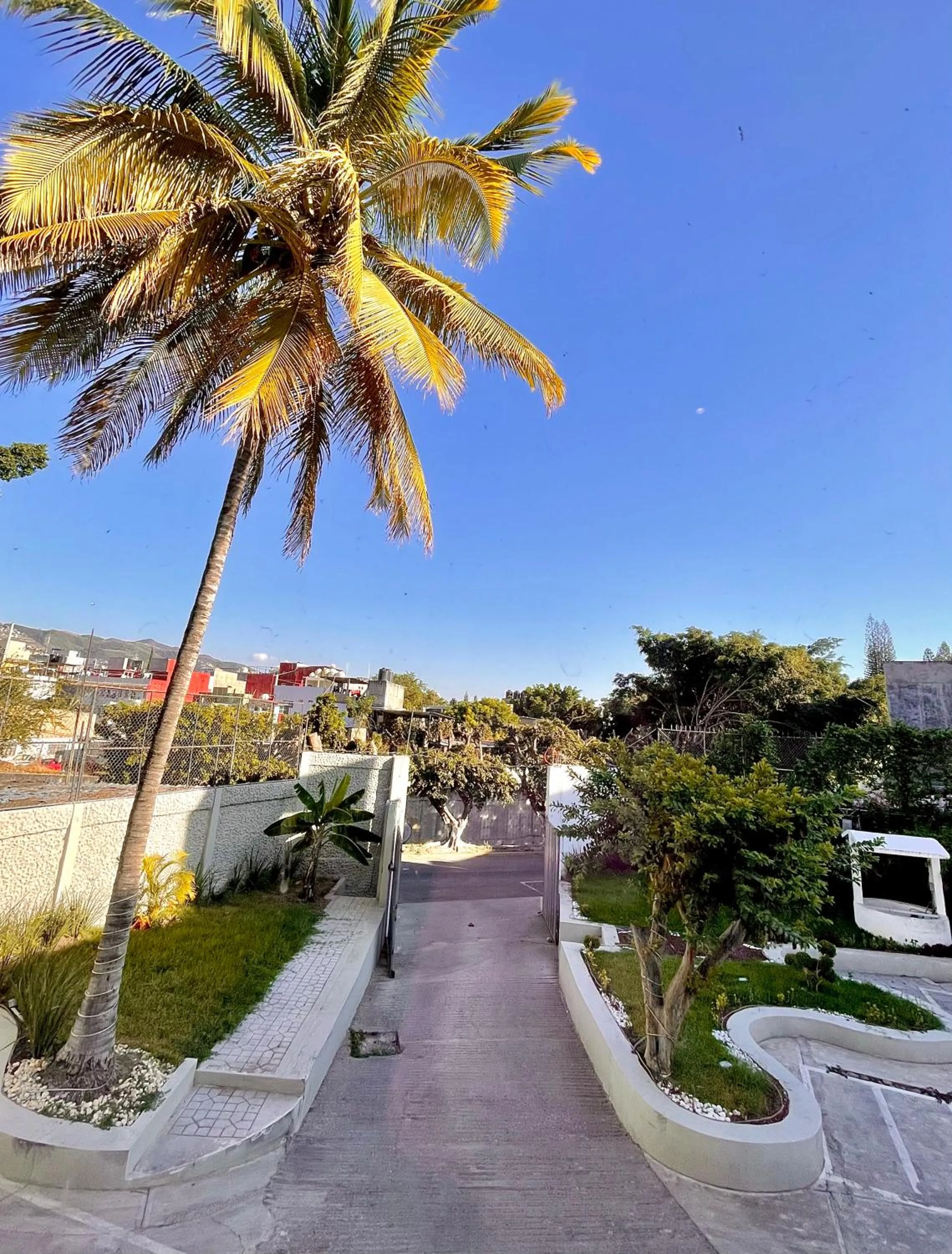 Garden view in Capital Suites