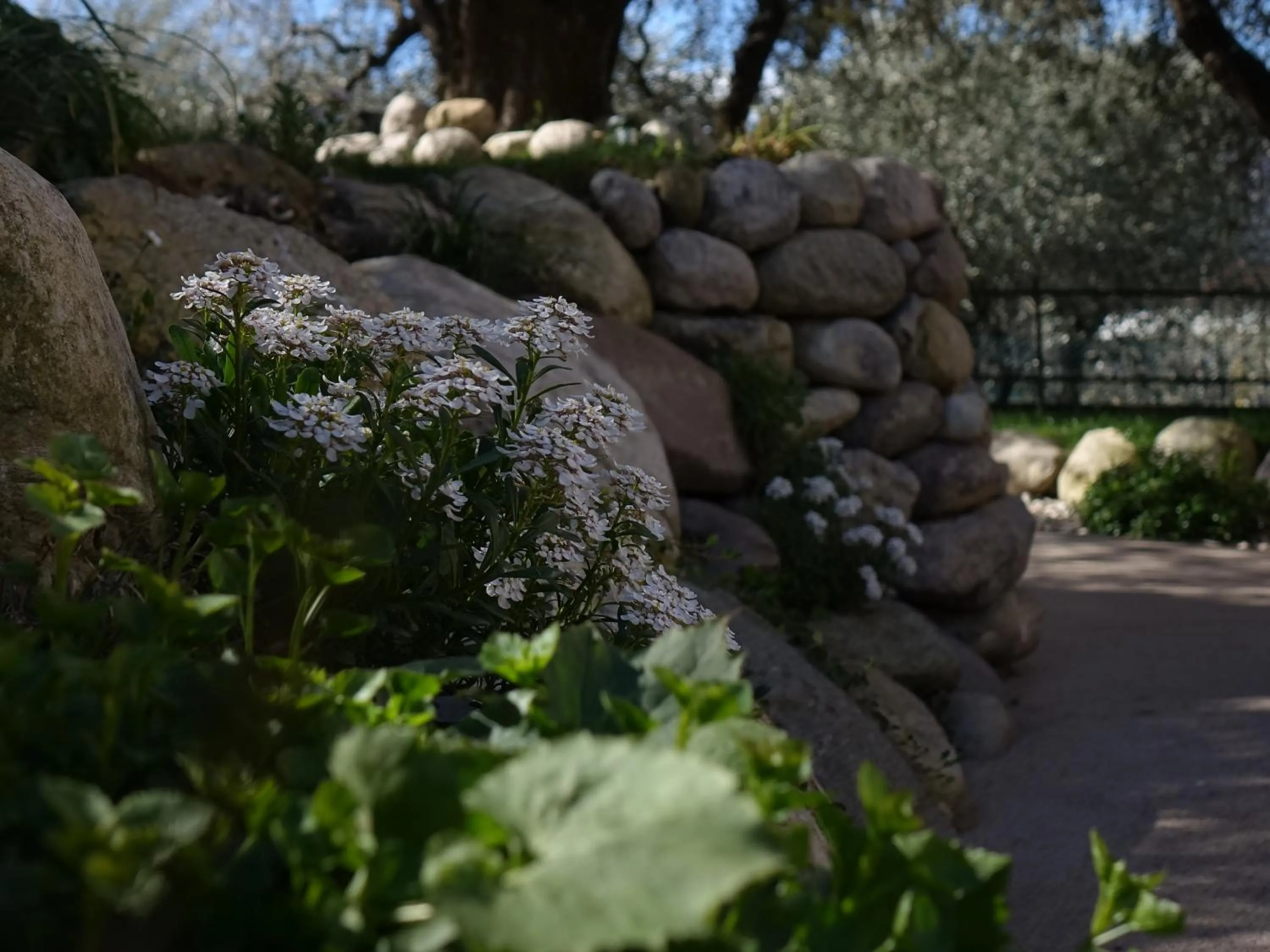 Garden in B&B ForseSiForseNo