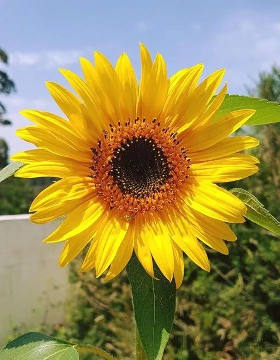 Herdade Quinta Natura Turismo Rural