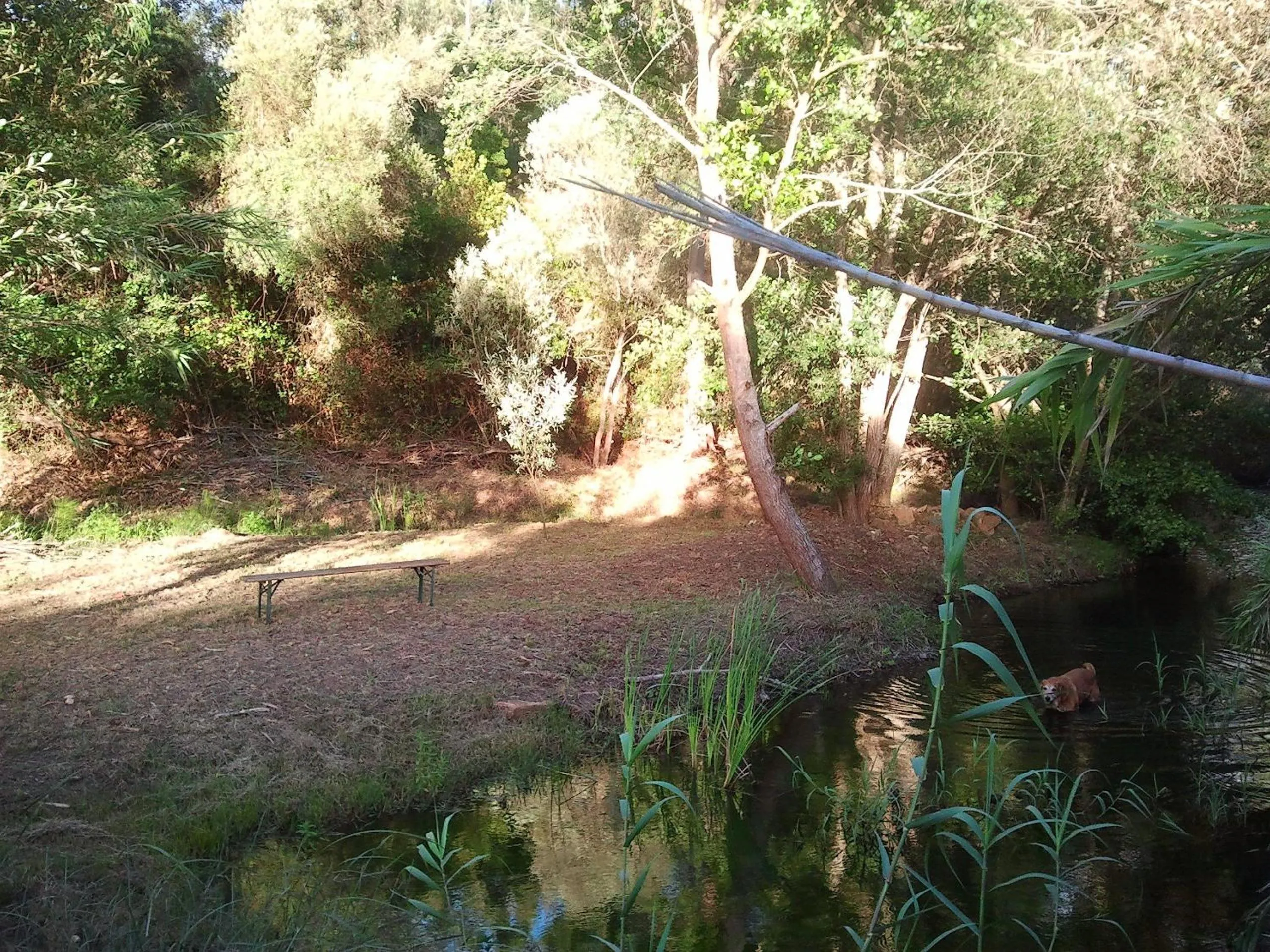 Area and facilities in Herdade Quinta Natura Turismo Rural