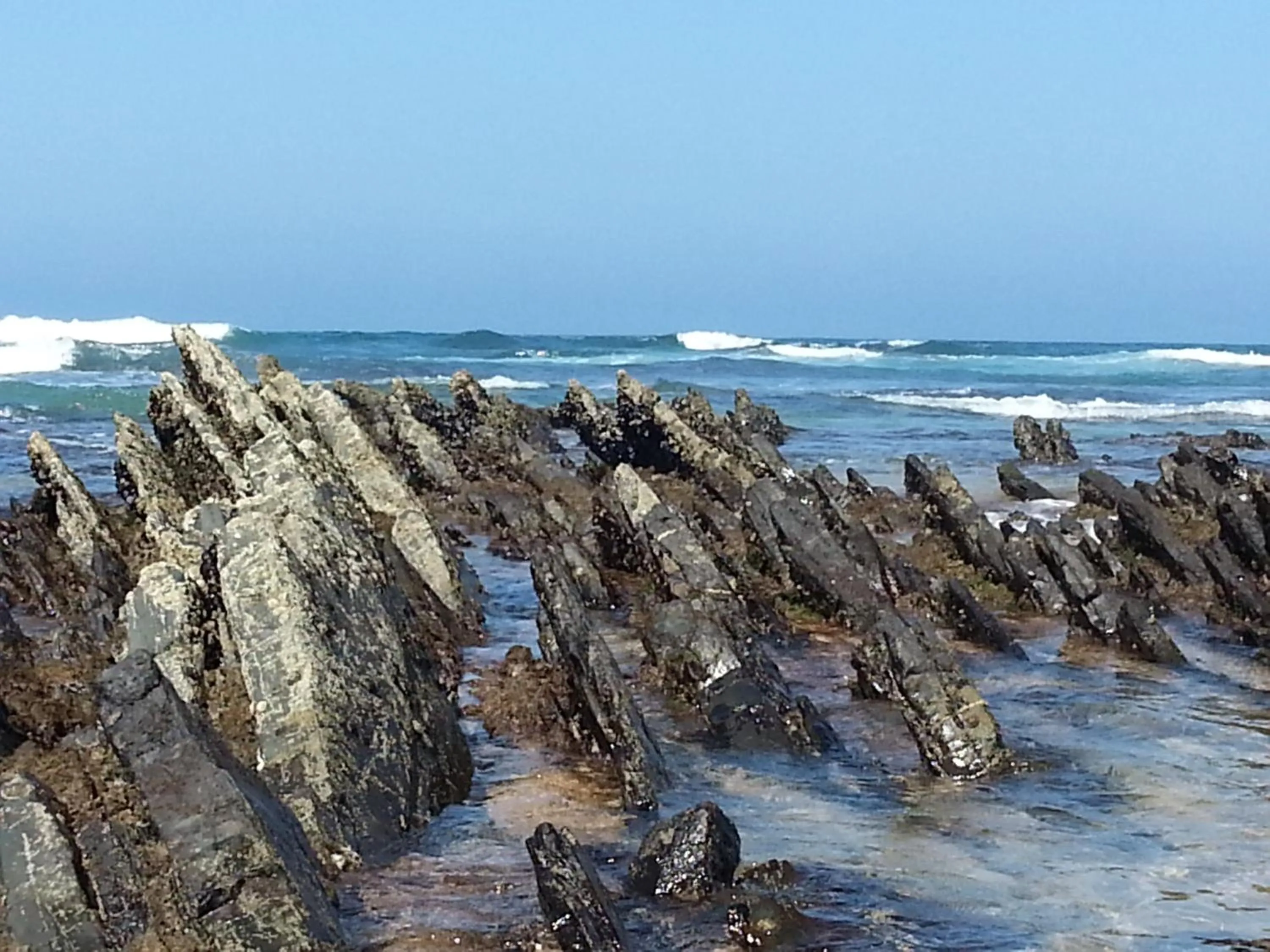 Area and facilities in Herdade Quinta Natura Turismo Rural
