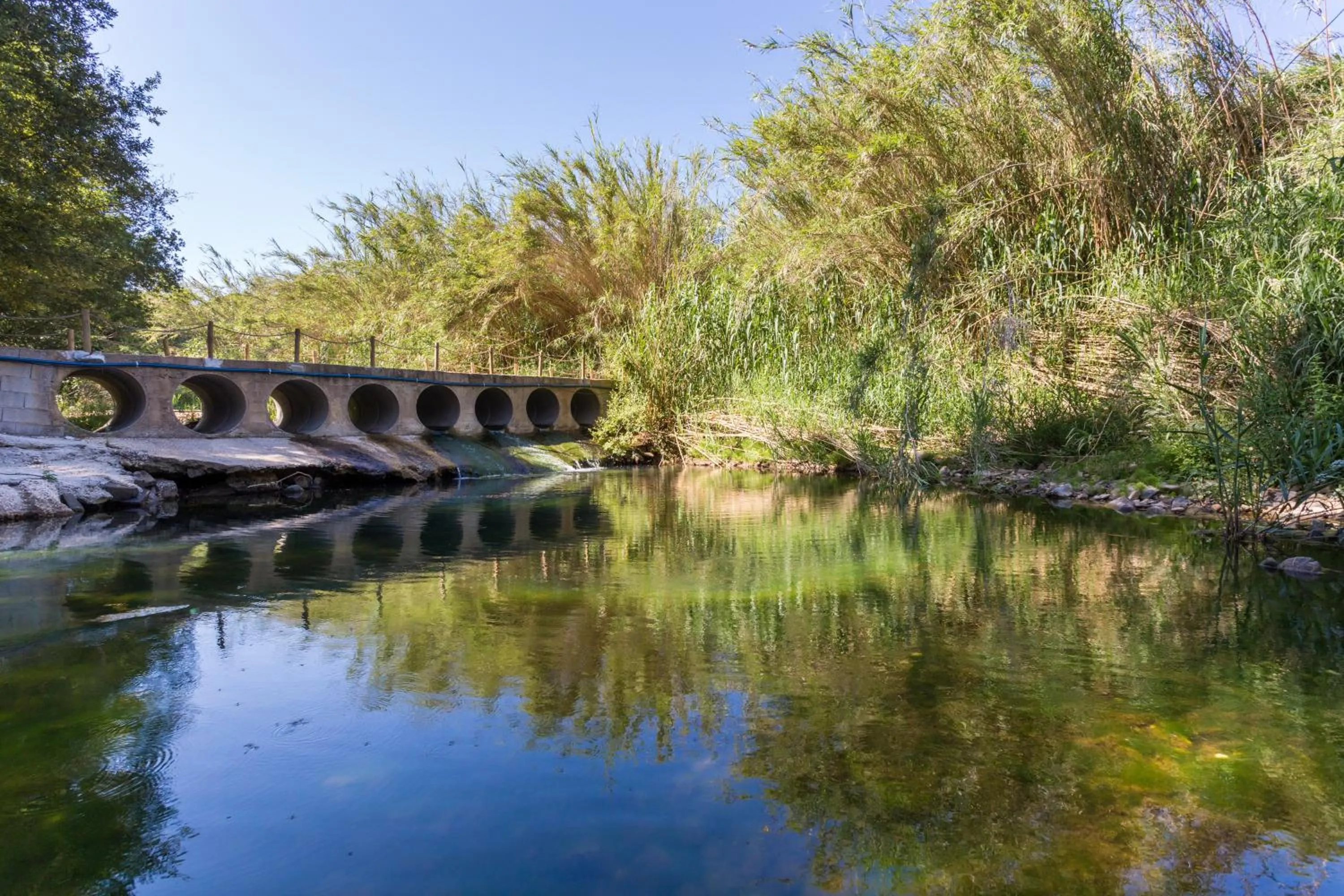 Lake view in Herdade Quinta Natura Turismo Rural