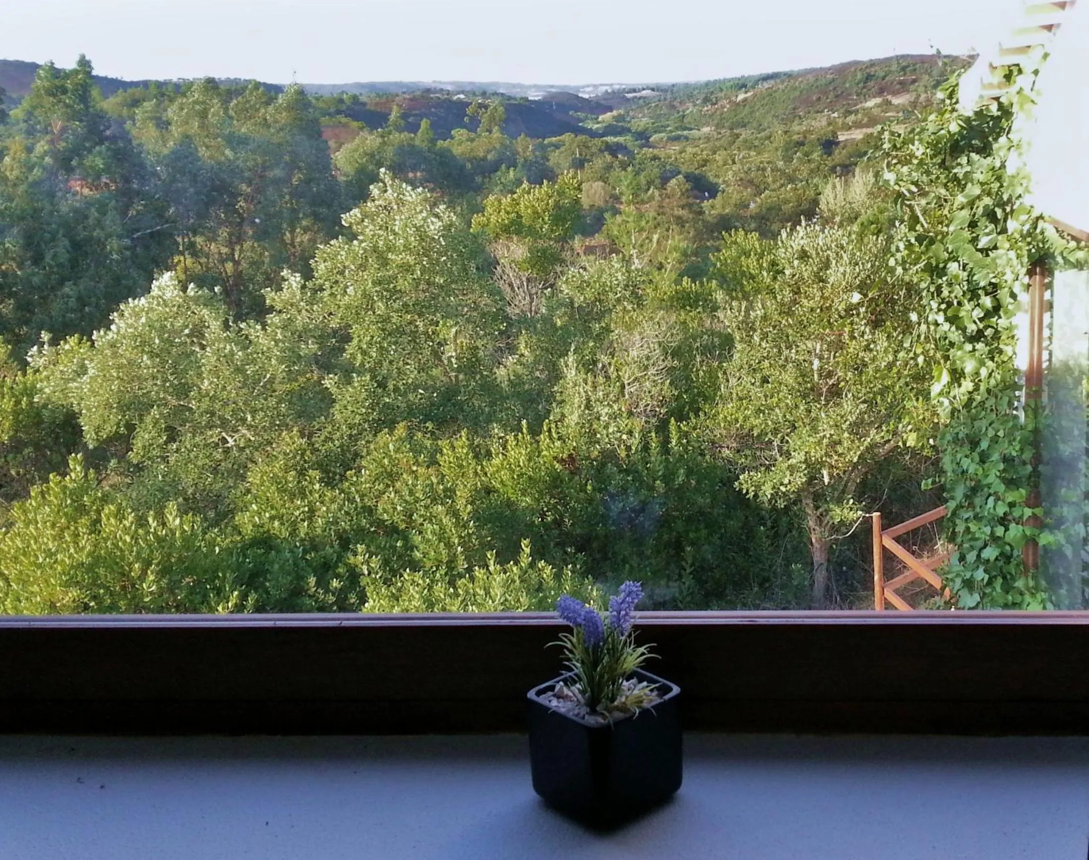 View (from property/room) in Herdade Quinta Natura Turismo Rural