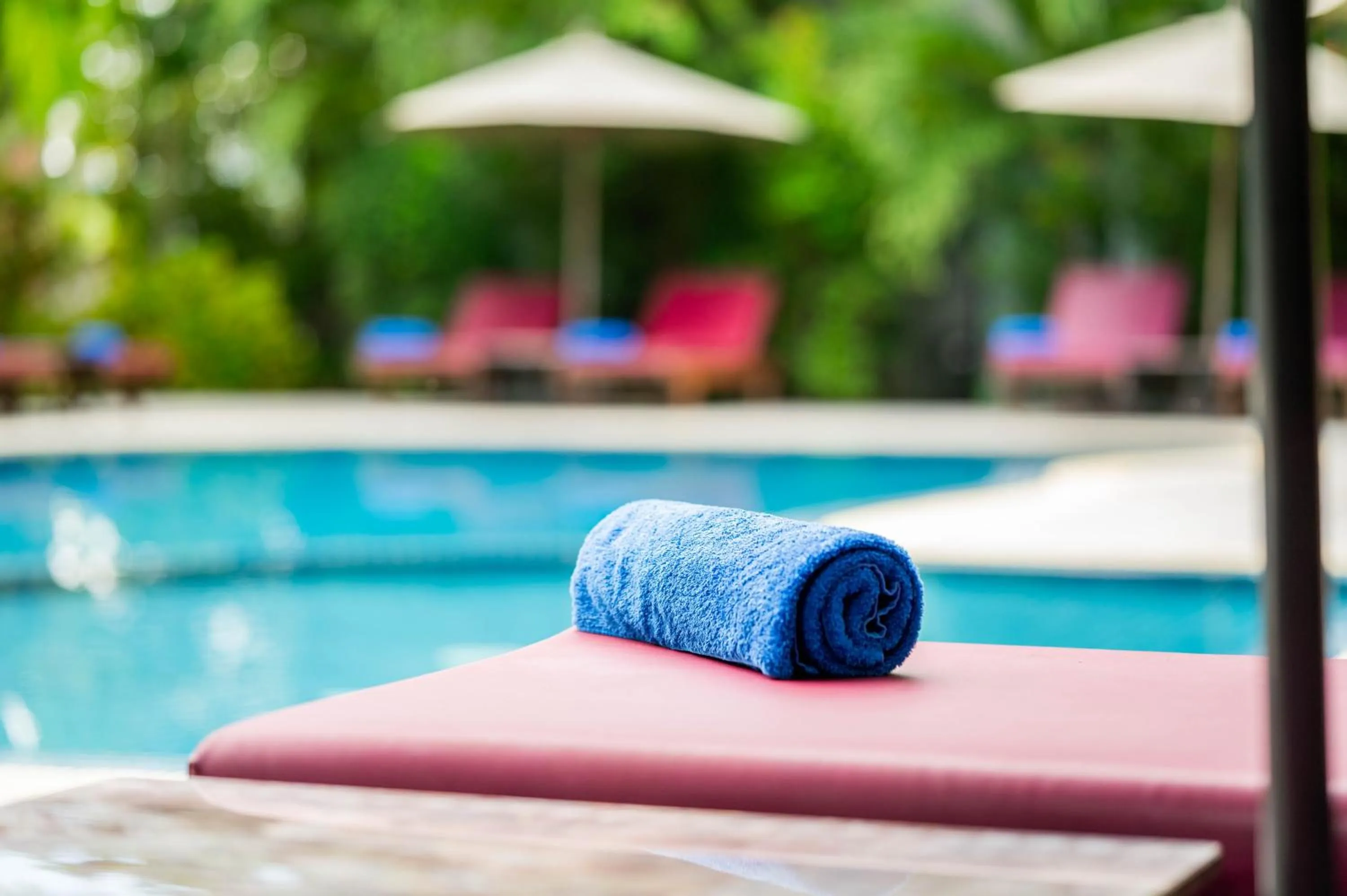 Swimming pool in Kampot Sweet Boutique