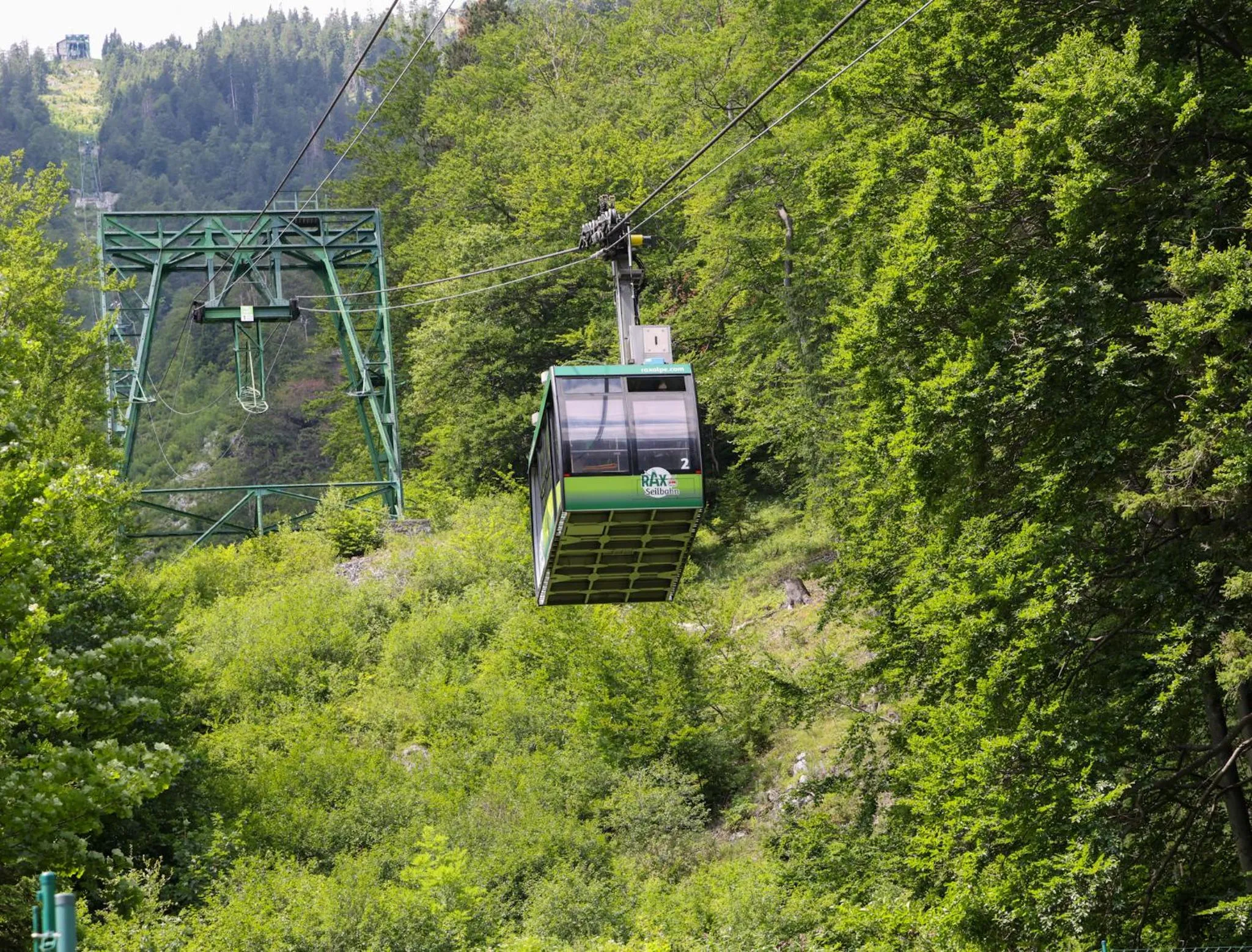 Hiking in Scharfegger's Raxalpenhof - Zuhause am Land