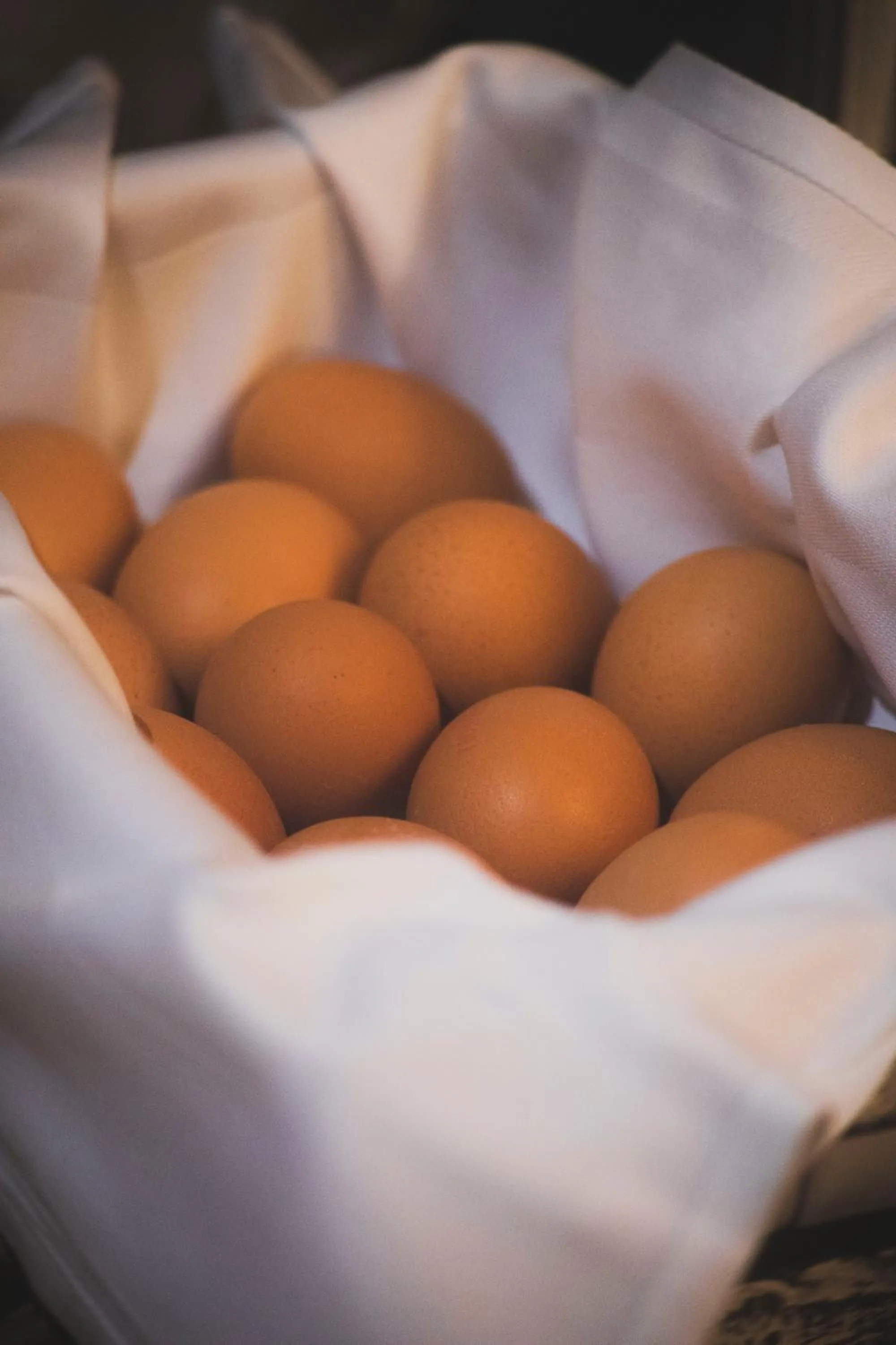 Food in Hotel Base Camp Lodge - Les 2 Alpes