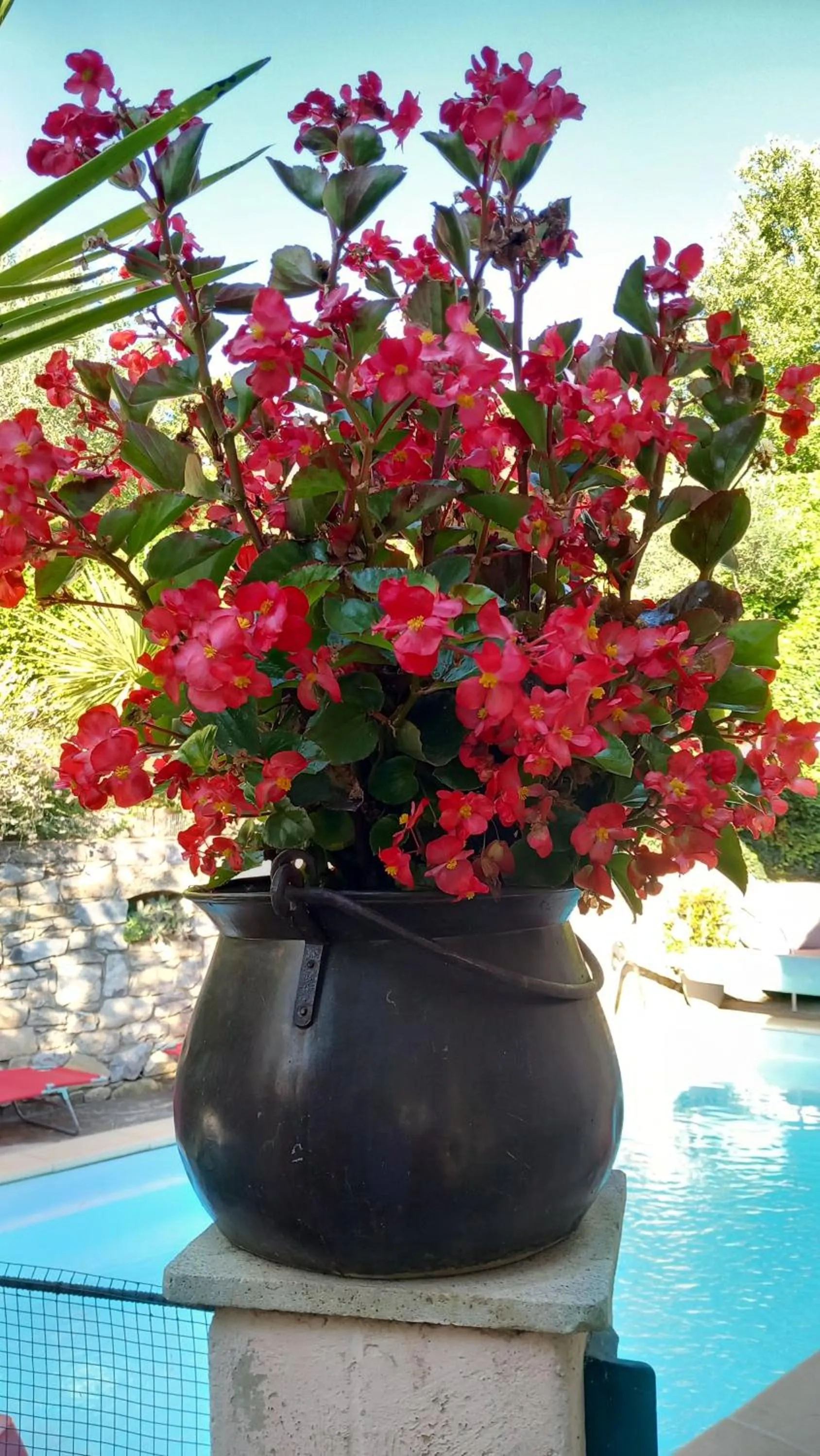 Garden in La Sapiniére -chambres climatisées