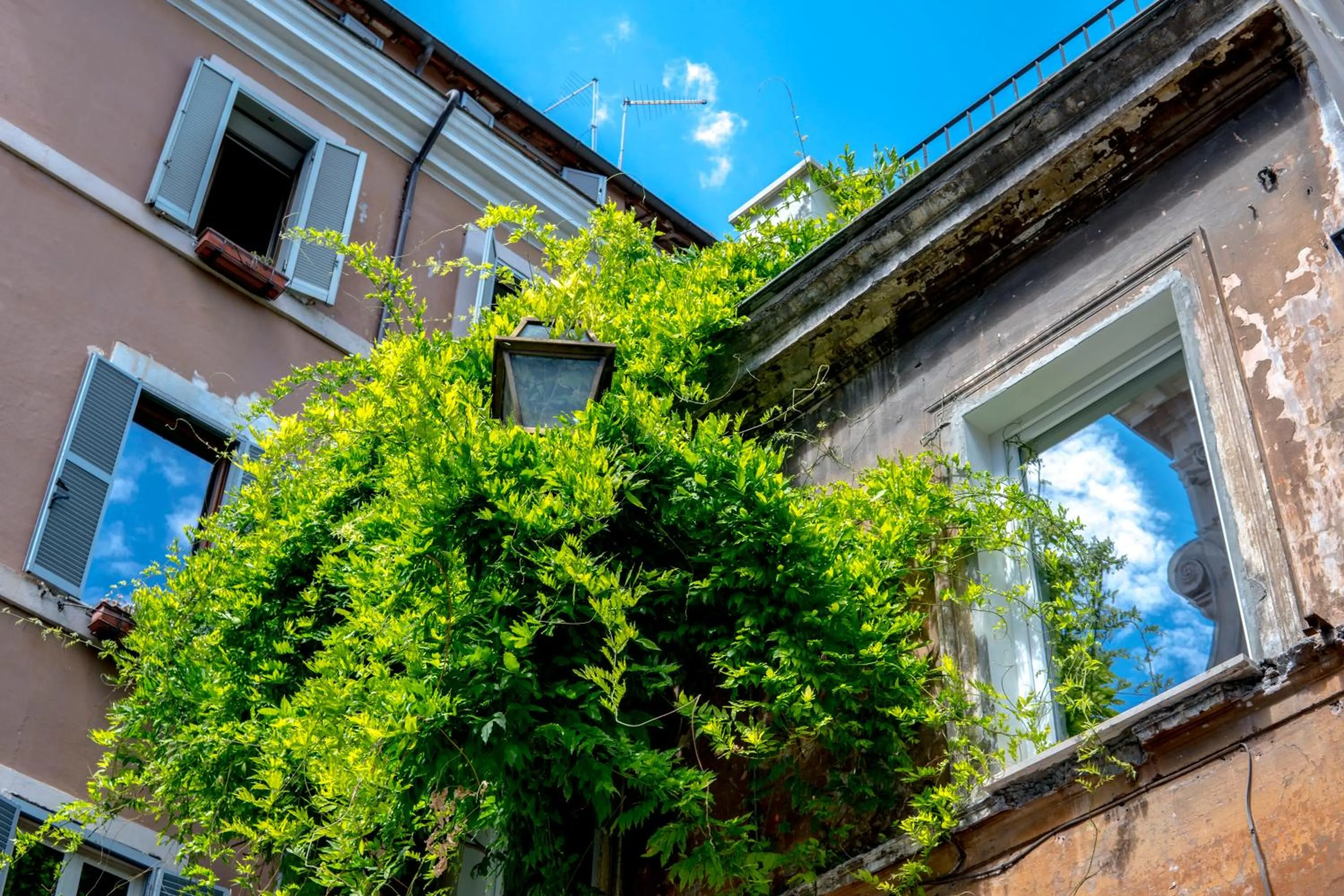 Property building in Navona Open Space Apartments