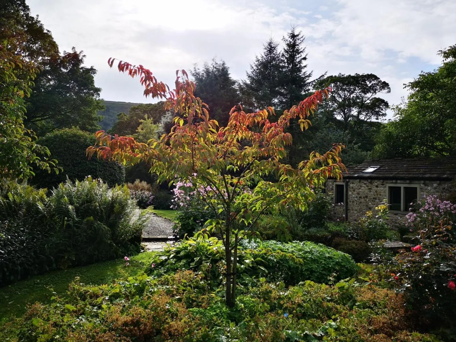 Property building in Cleveliot House