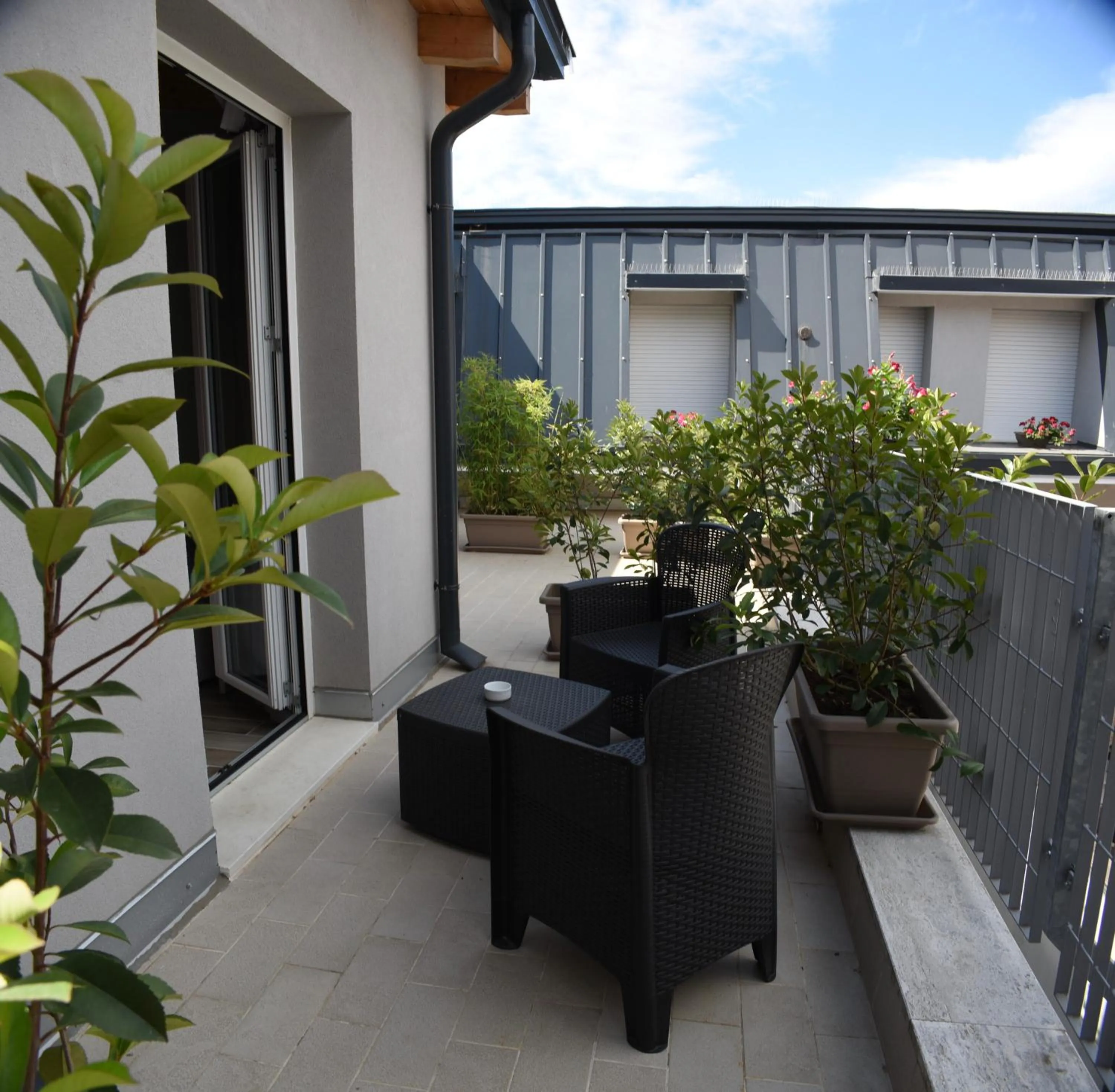 Balcony/Terrace in Hotel Cavallo Bianco