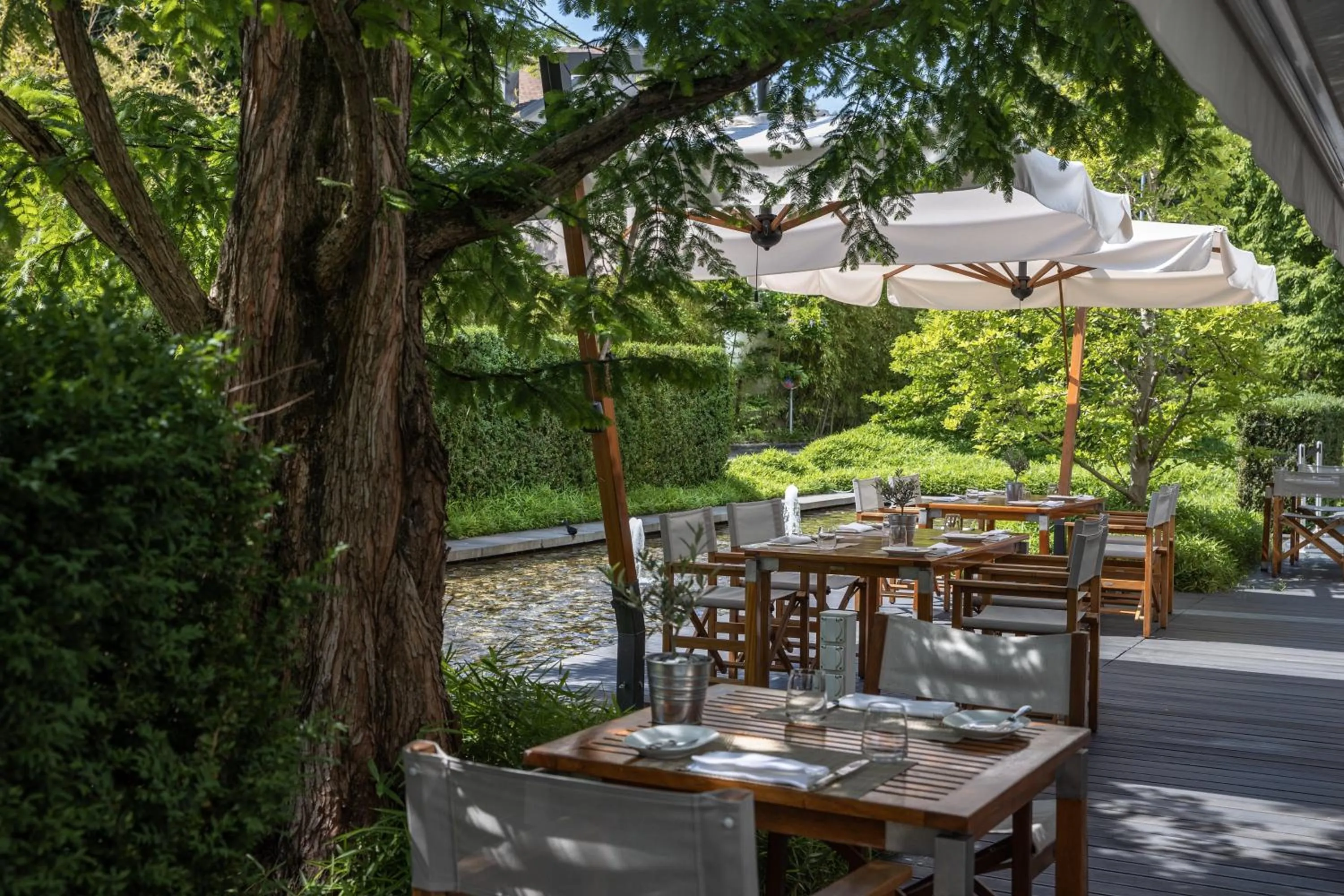 Restaurant/places to eat in InterContinental Genève by IHG