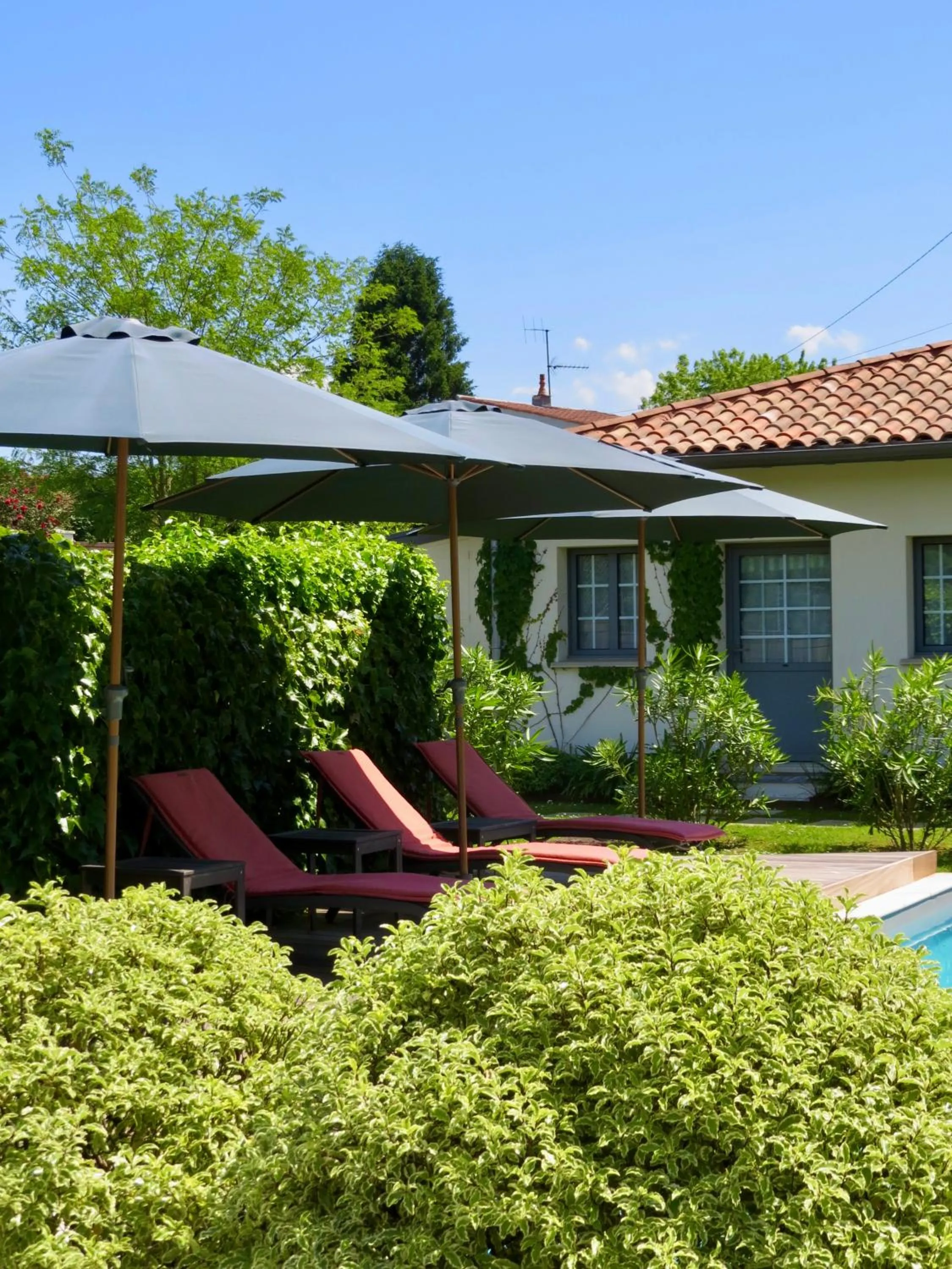 Garden in Hôtel Villa la Renaissance