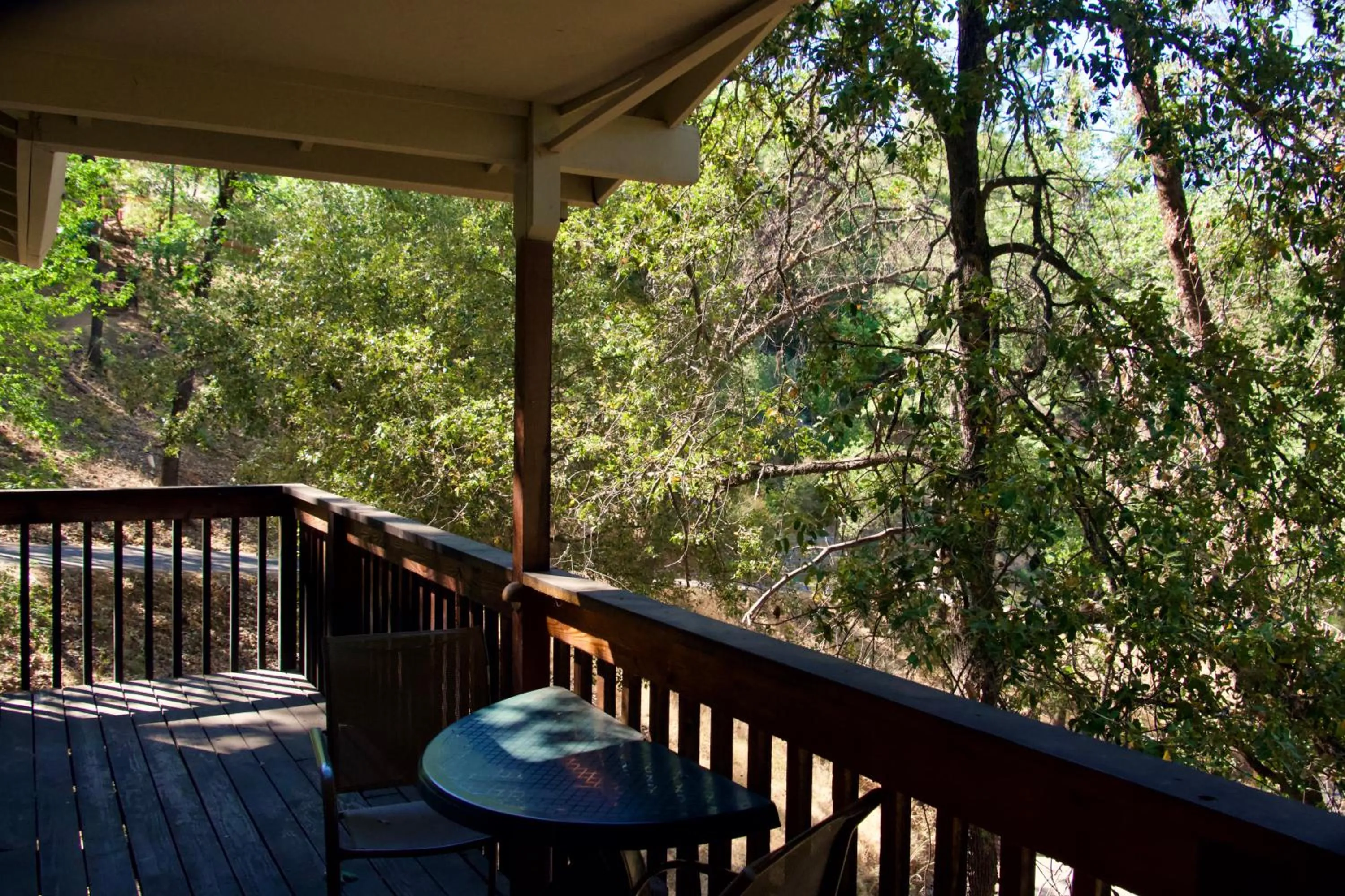 Yosemite Bug Rustic Mountain Resort