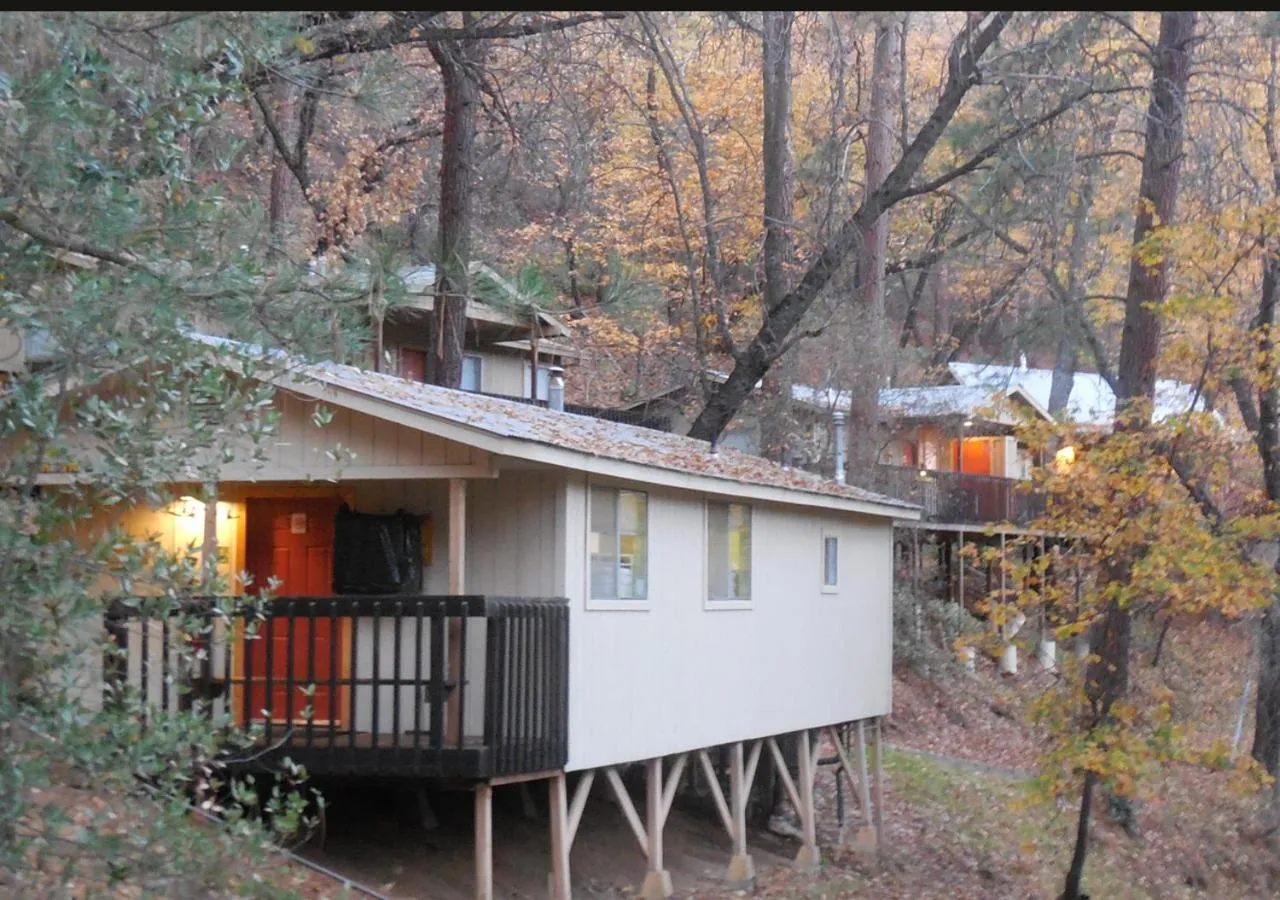 Property building in Yosemite Bug Rustic Mountain Resort