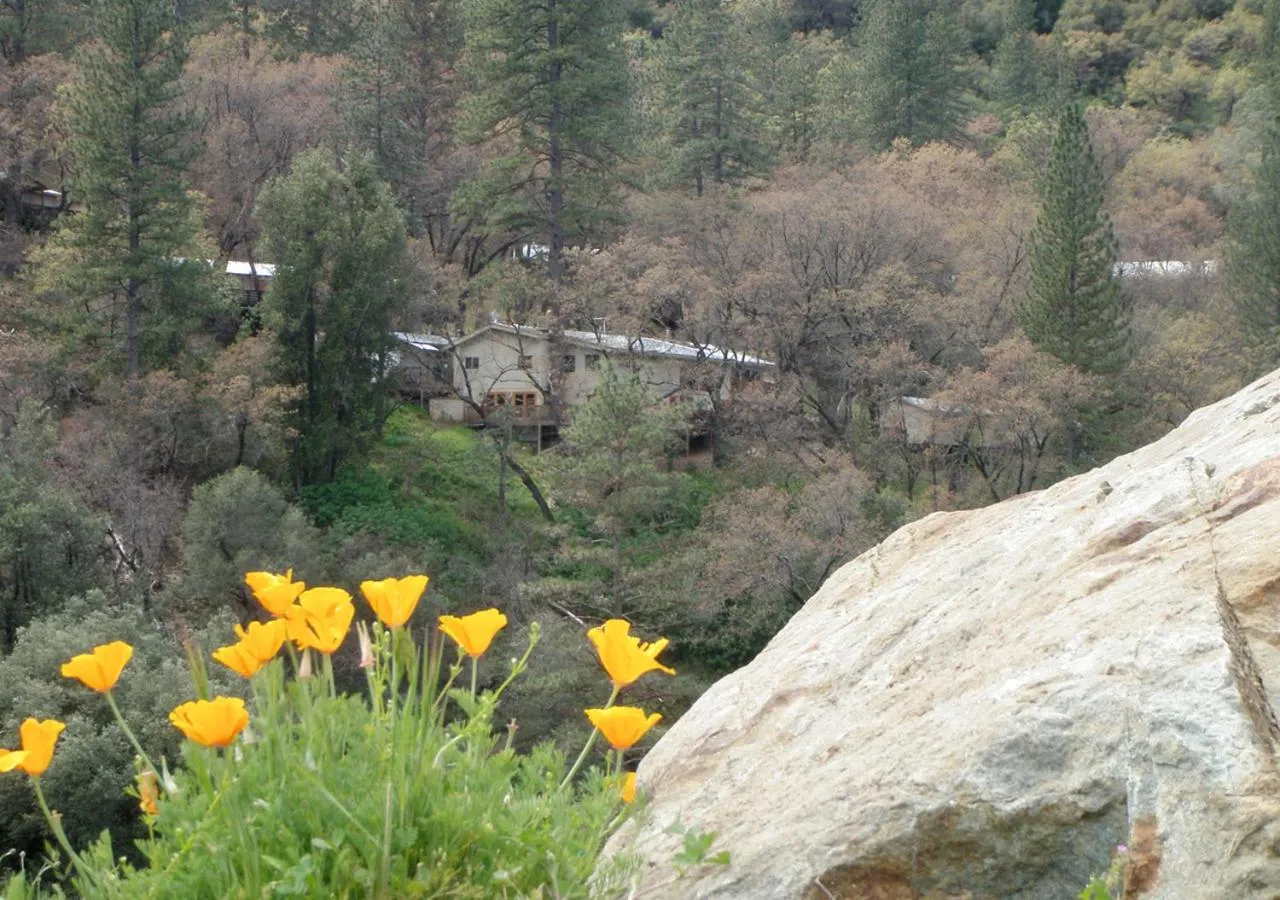 Bird's eye view in Yosemite Bug Rustic Mountain Resort