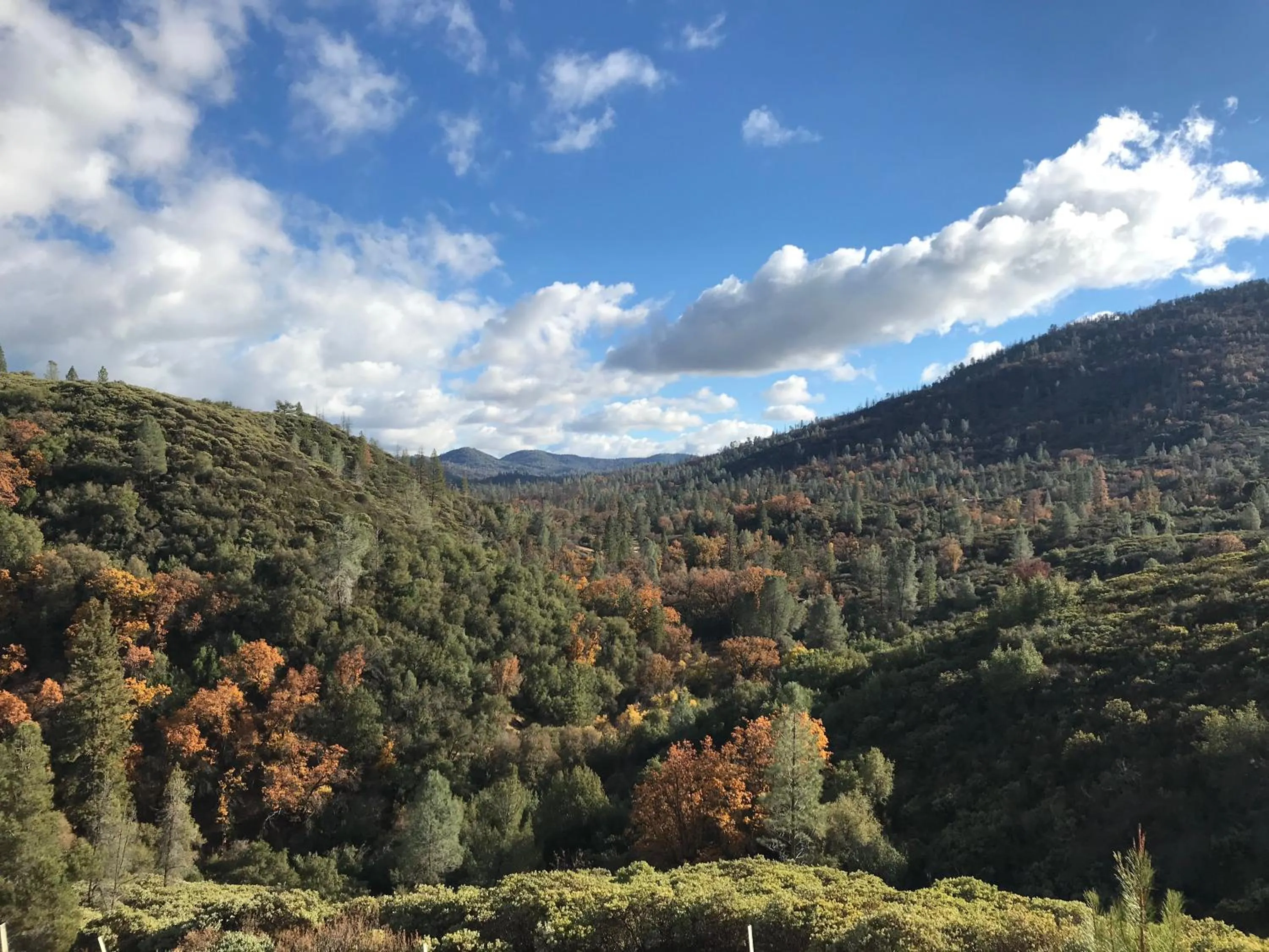 Yosemite Bug Rustic Mountain Resort