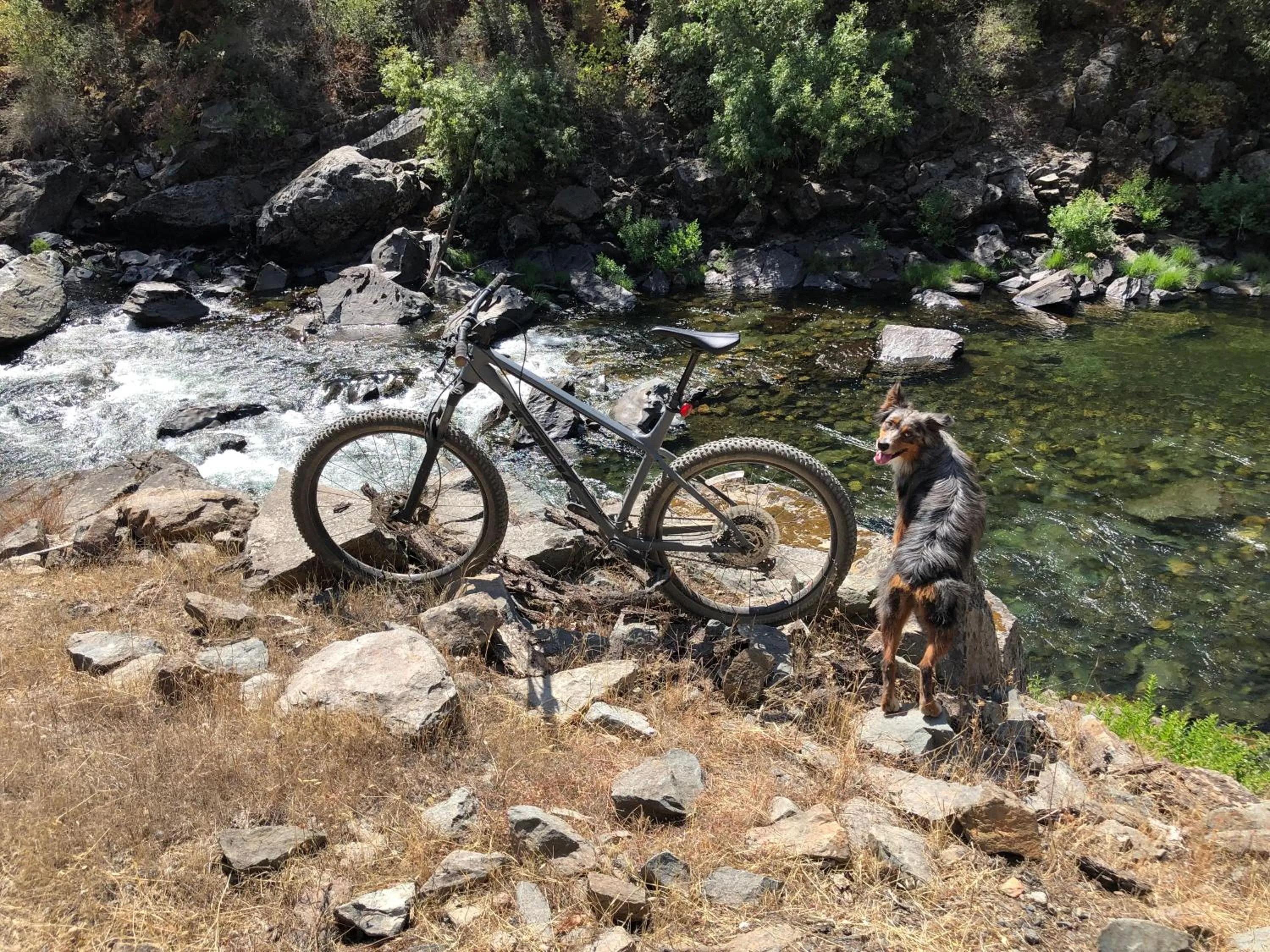 Yosemite Bug Rustic Mountain Resort