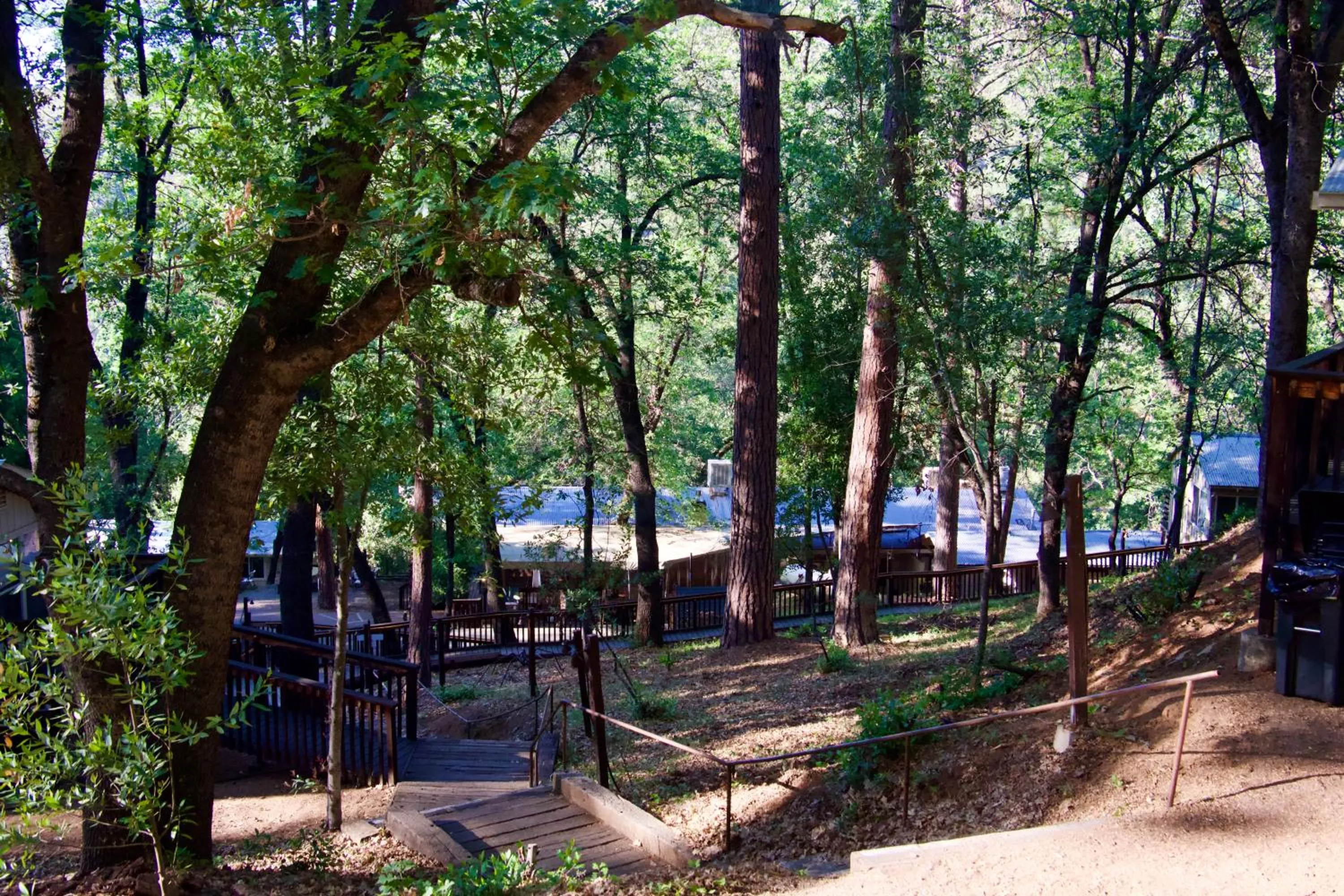 Yosemite Bug Rustic Mountain Resort