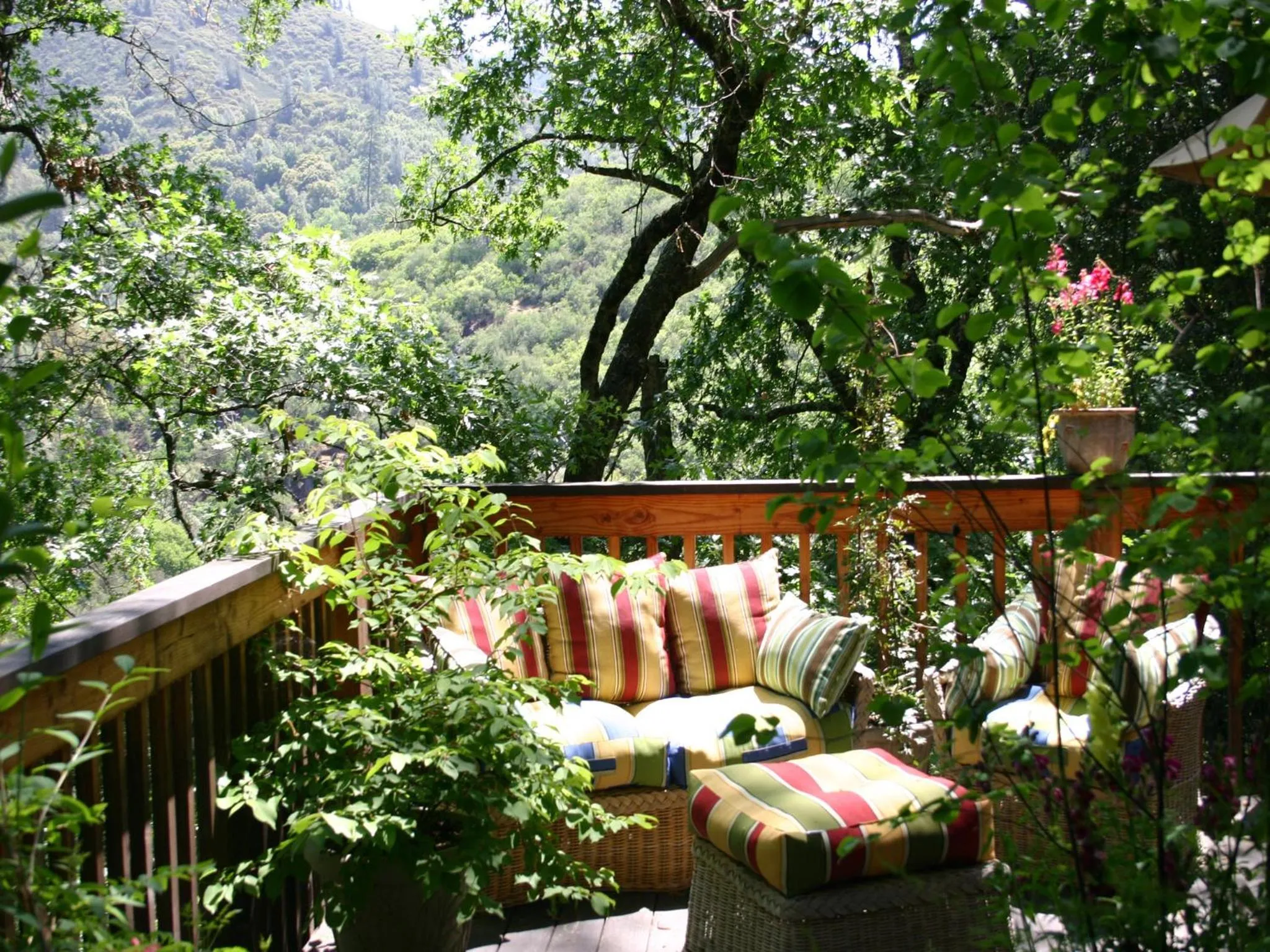 Spa and wellness centre/facilities in Yosemite Bug Rustic Mountain Resort